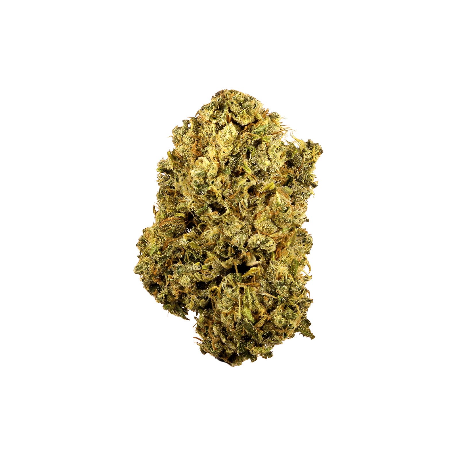 Durban Poison cannabis flower buds with vibrant green coloring and visible trichomes, a potent sativa strain