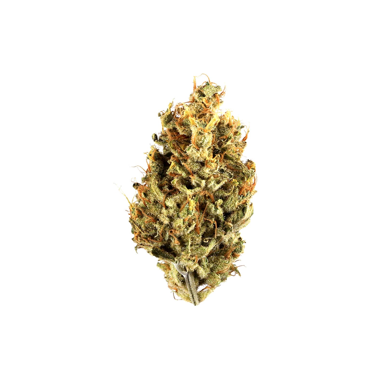 Close-up of Poon Tang Pie cannabis flower buds showcasing dense trichome-rich green nugs with earthy tones