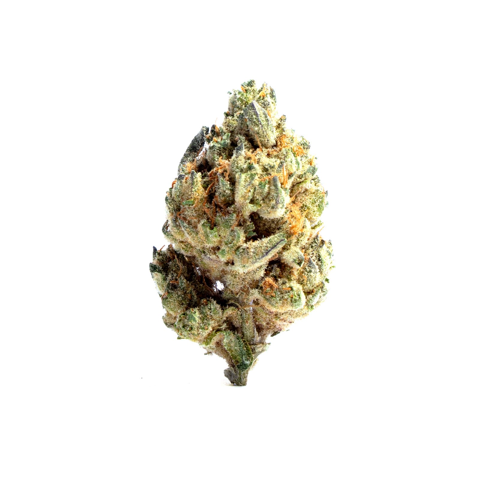 Pink cannabis flower buds close-up, Predator Pink strain with dense frosty trichomes and vibrant pink-hued coloring