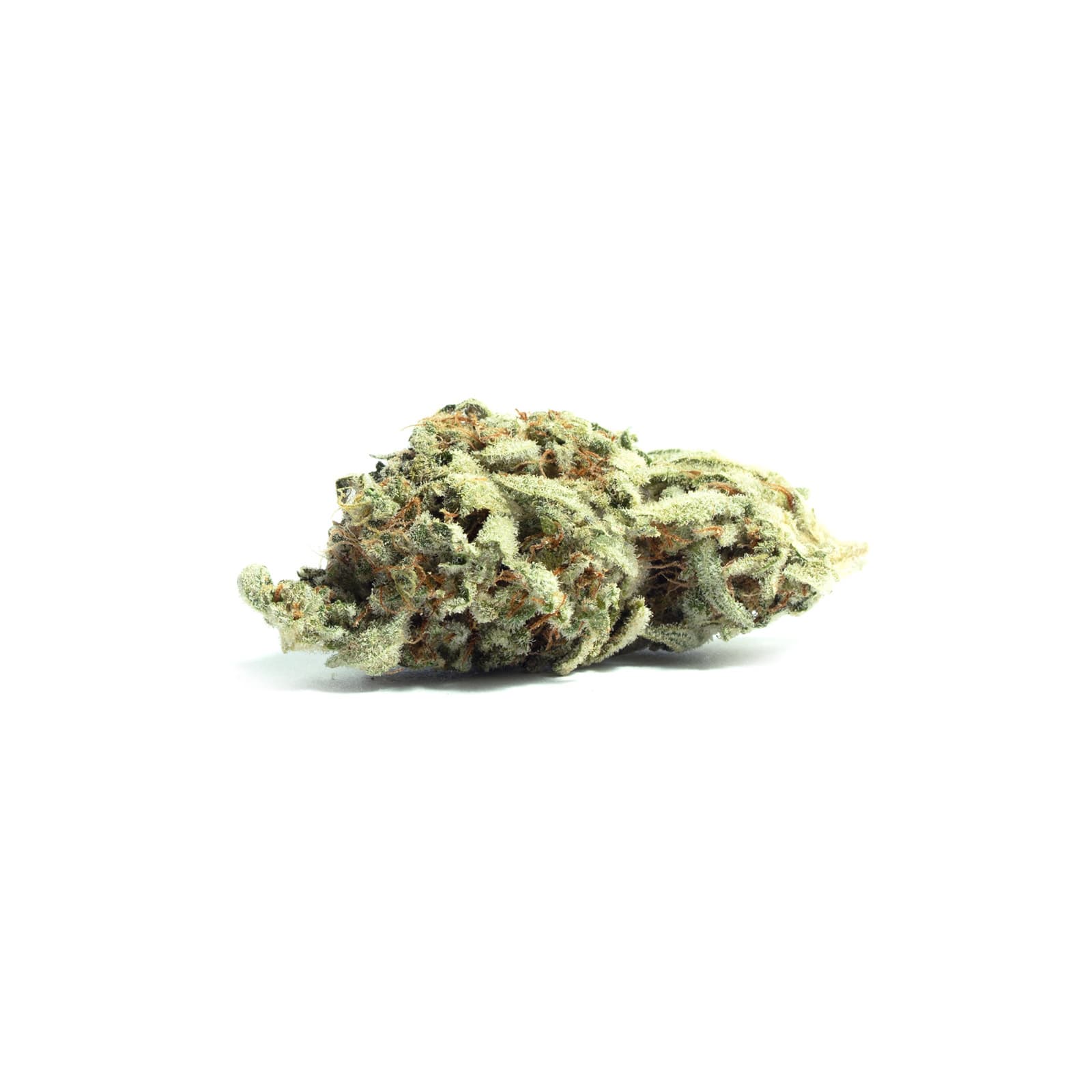 Silver Haze cannabis flower daily ounce 91g with silvery trichome-covered buds showcasing premium sativa strain quality