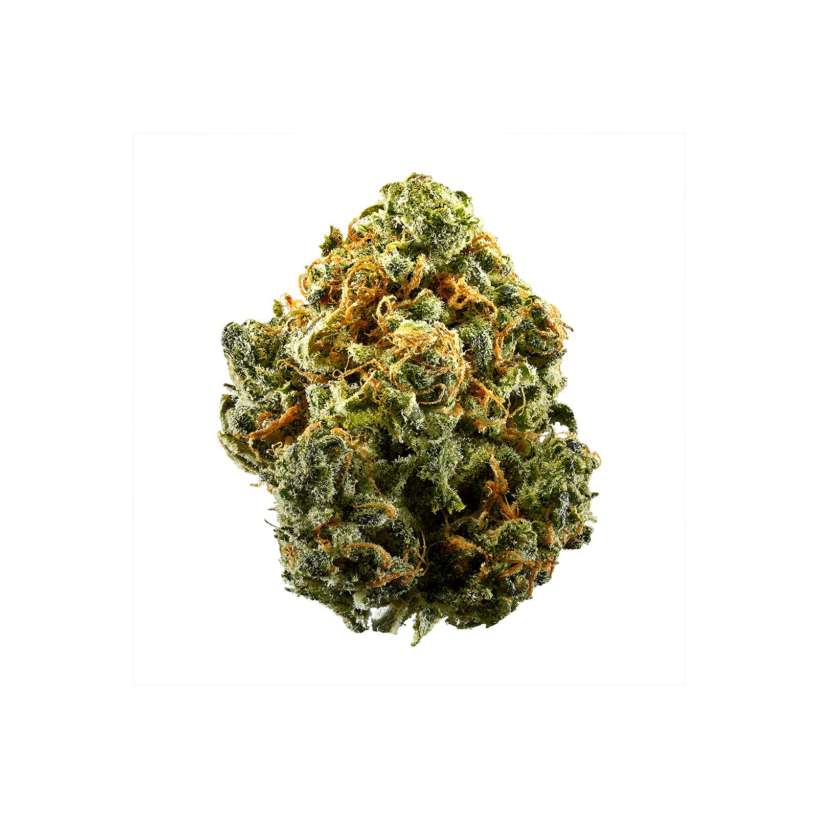 Close-up of Gumbo Gorilla Bomb cannabis flower buds showcasing dense, trichome-rich texture