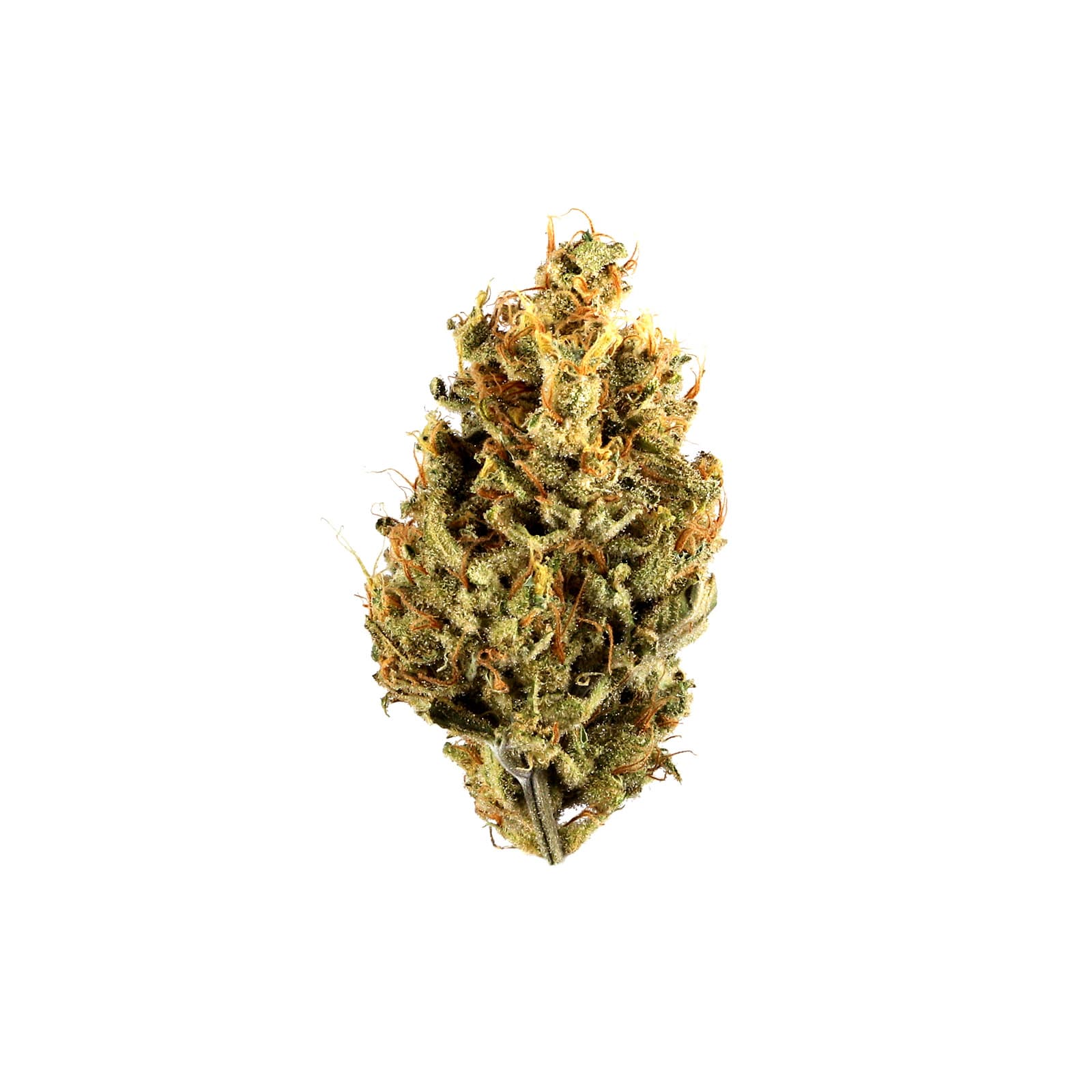 Jungle Cake cannabis flower buds with dense trichome coverage in a product display
