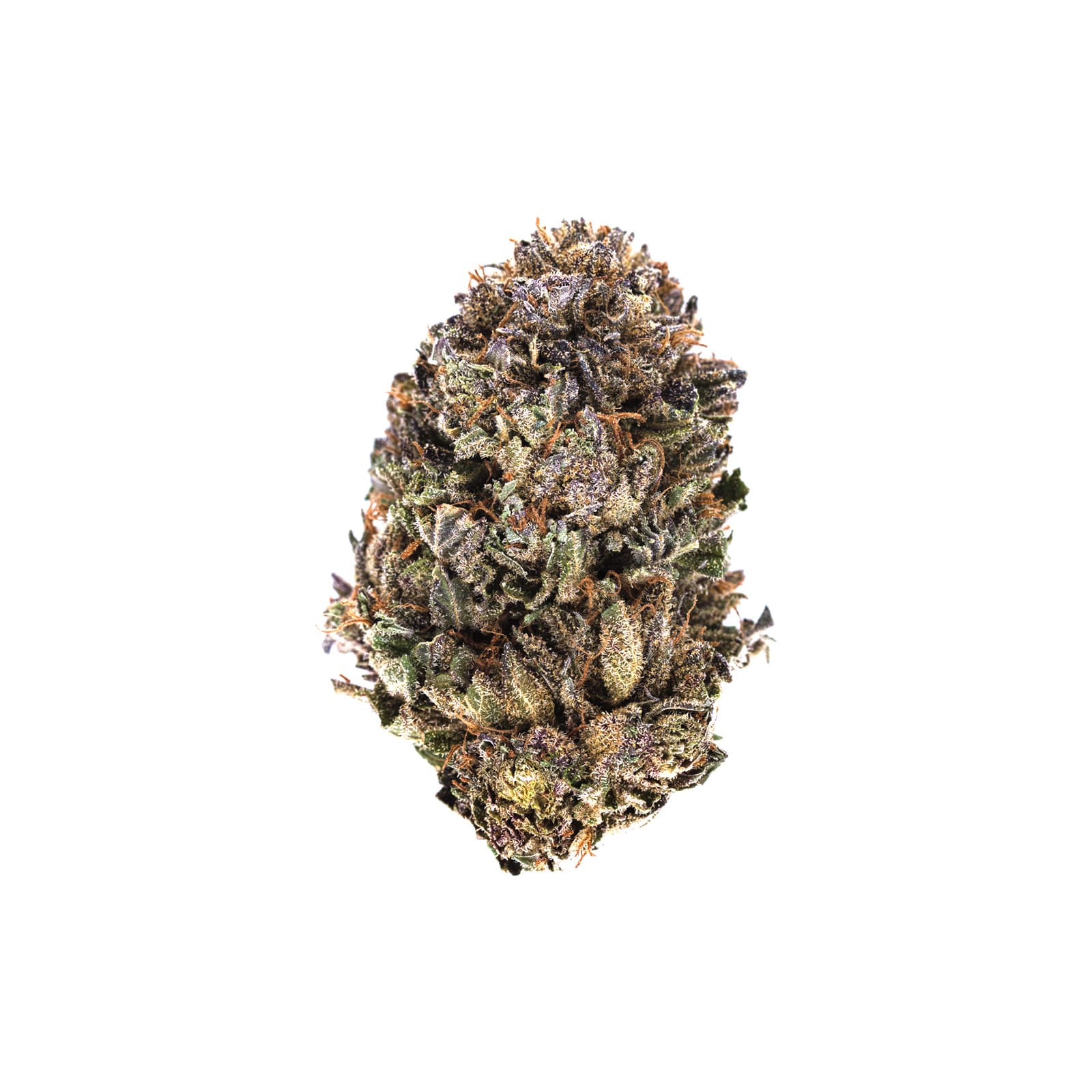 Small cannabis buds in a container showing 91oz daily portions with 44% THC strain variety from company 35
