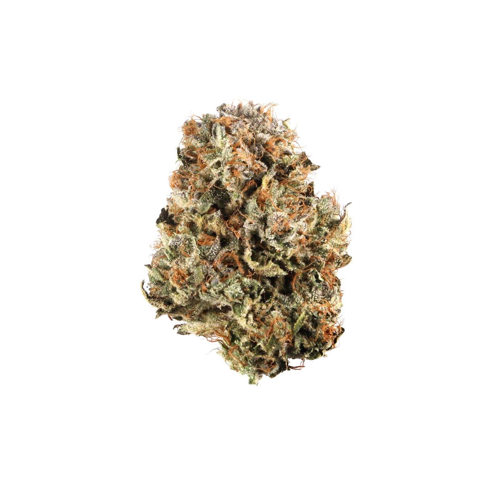 Close-up of Ice Cream cannabis flower buds with frosty trichomes and dense texture