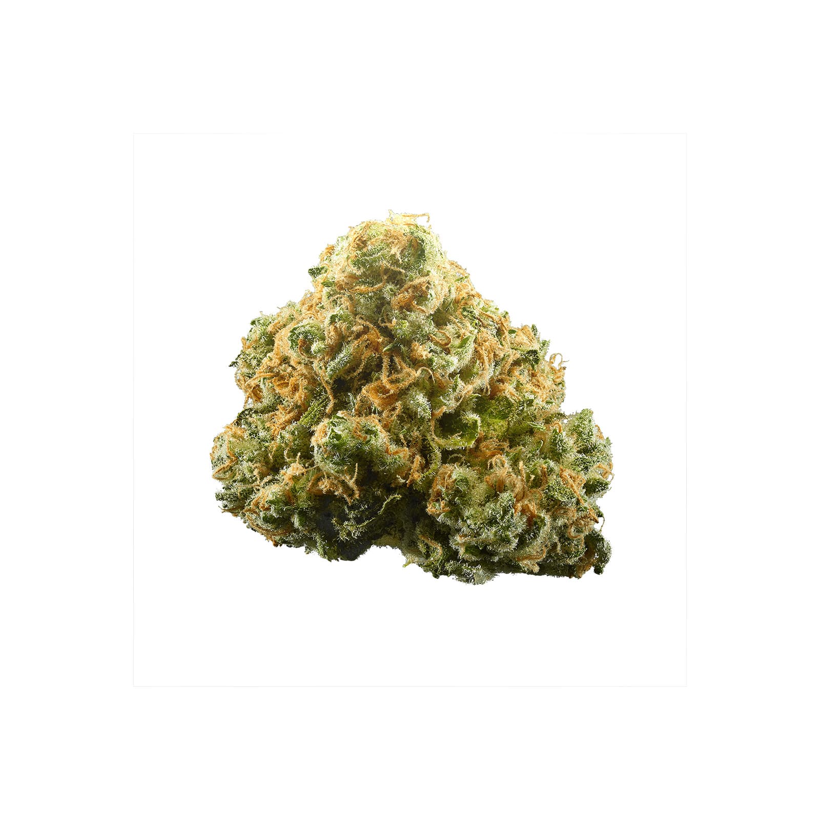 Pineapple Express cannabis flower buds with vibrant green and golden hues showcasing premium quality sativa strain