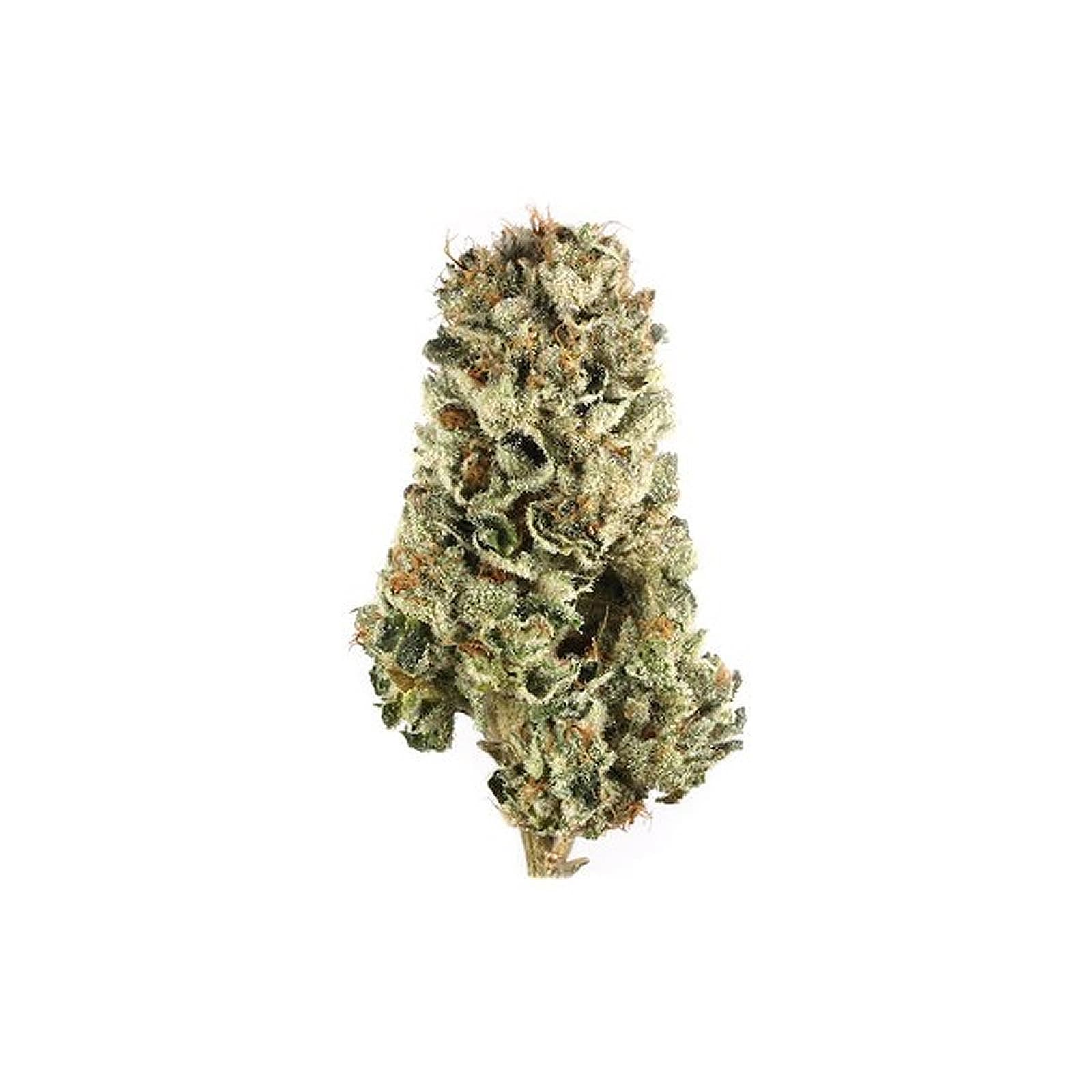 Menthol cannabis product packaging 91oz daily ounce offering from brand 35 strain type 304 with 89 percent THC