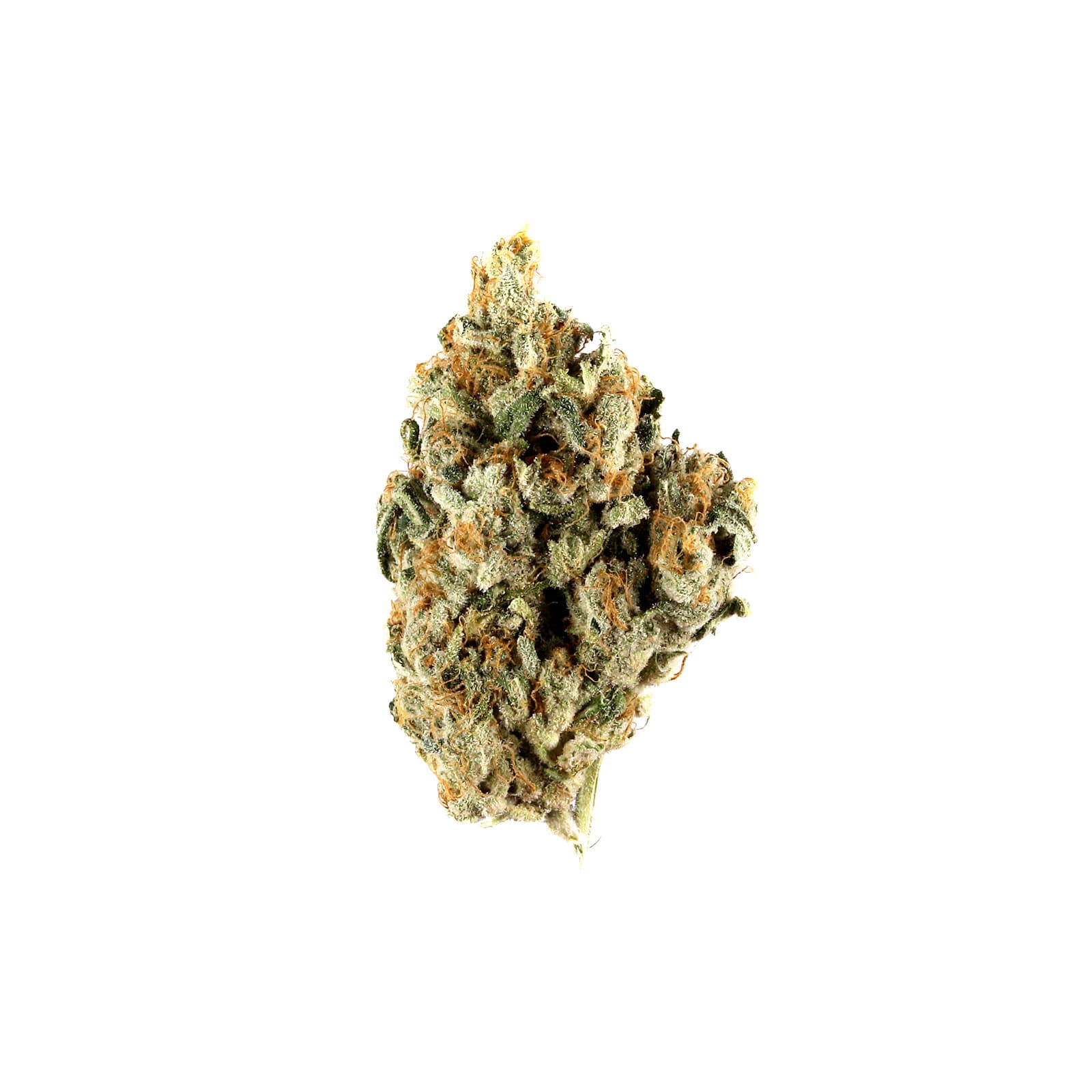 Blackberry Kush cannabis flower buds close up showing dense purple tinged nugs with visible trichomes