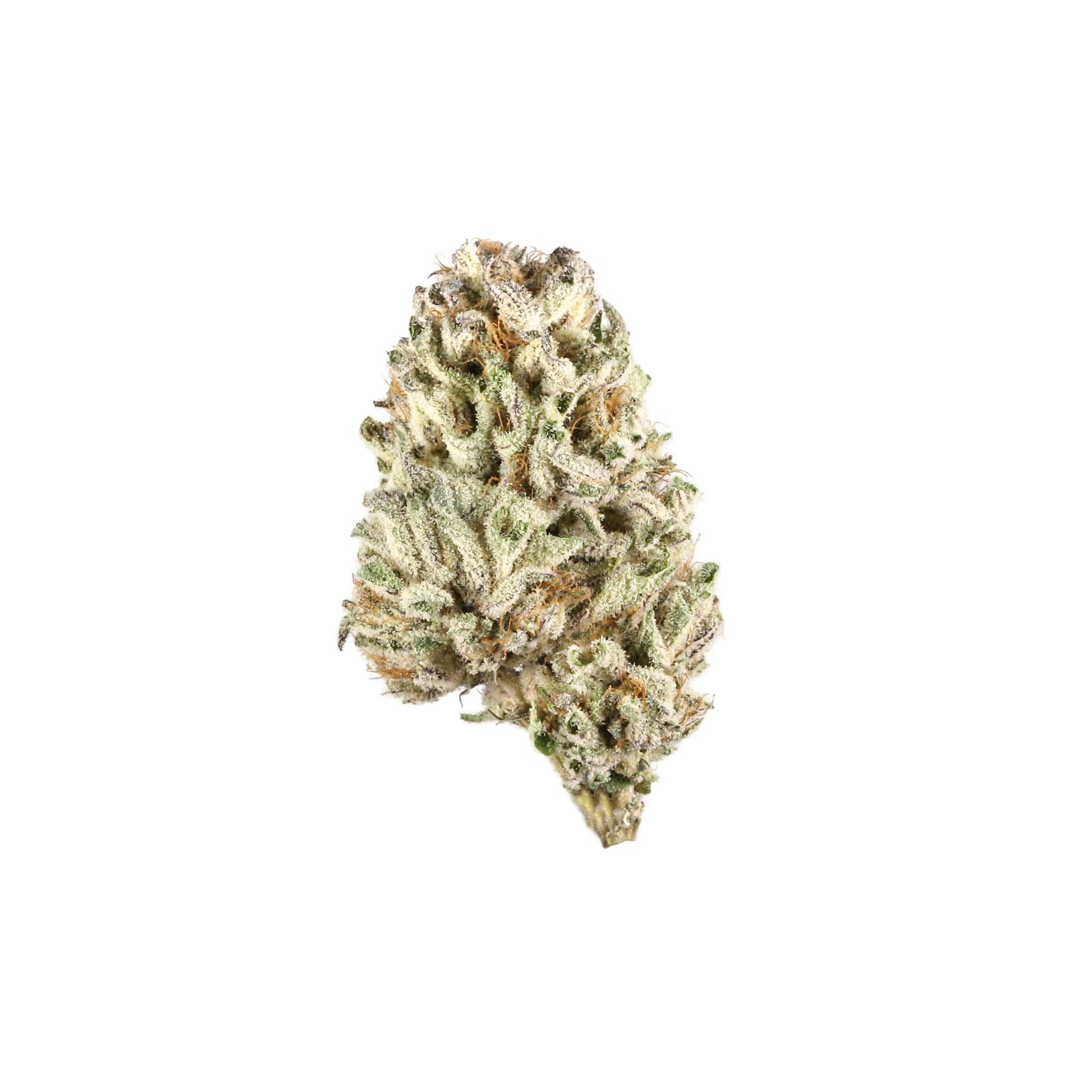 Mandarin OG cannabis flower, a Daily Ounces strain with vibrant citrus-toned buds and rich trichome coverage