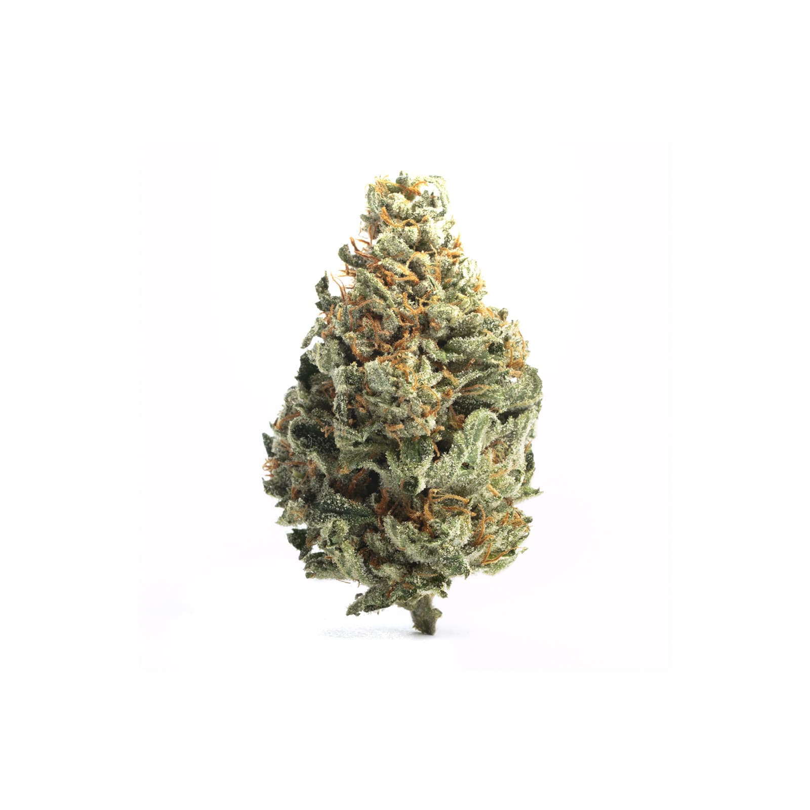 Pineapple Haze cannabis strain close-up showing golden-green buds with tropical pineapple aroma notes