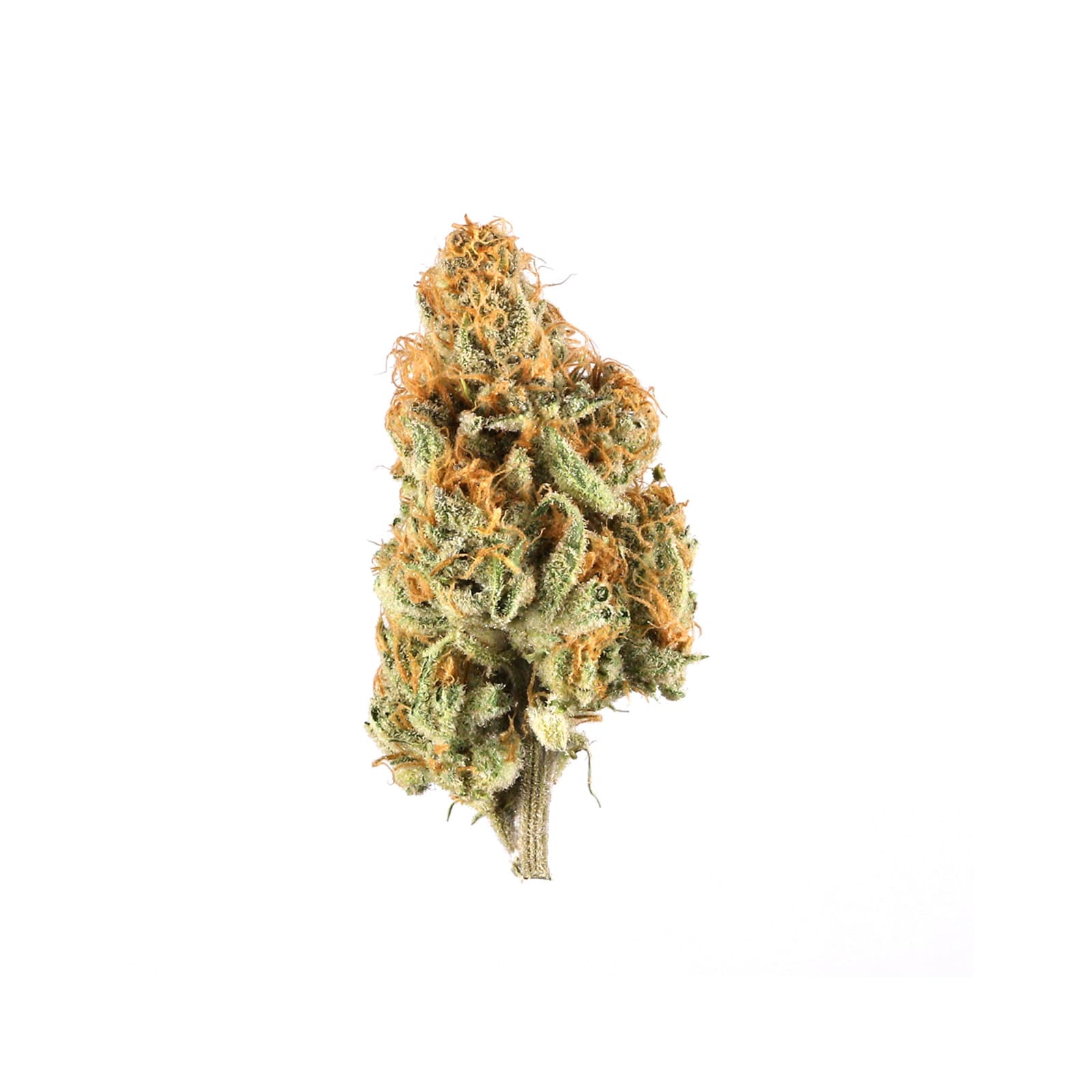Banana Cream Cake cannabis flower with creamy pale green buds and frosty trichome coverage