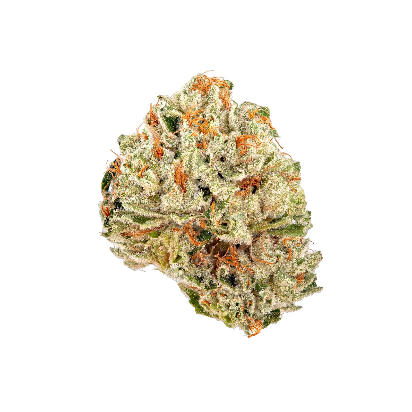 Black Bubba cannabis flower, dark dense buds with rich purple hues, daily ounce quantity strain