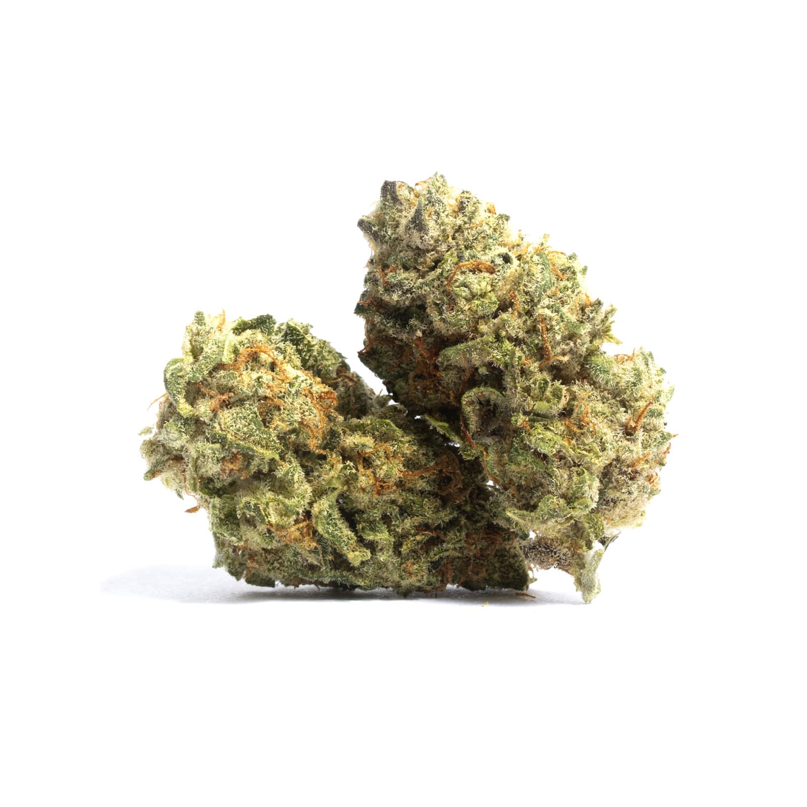 Blue Tahoe MAC 1 daily ounce cannabis flower with dense frosty buds and vibrant blue-hued coloring