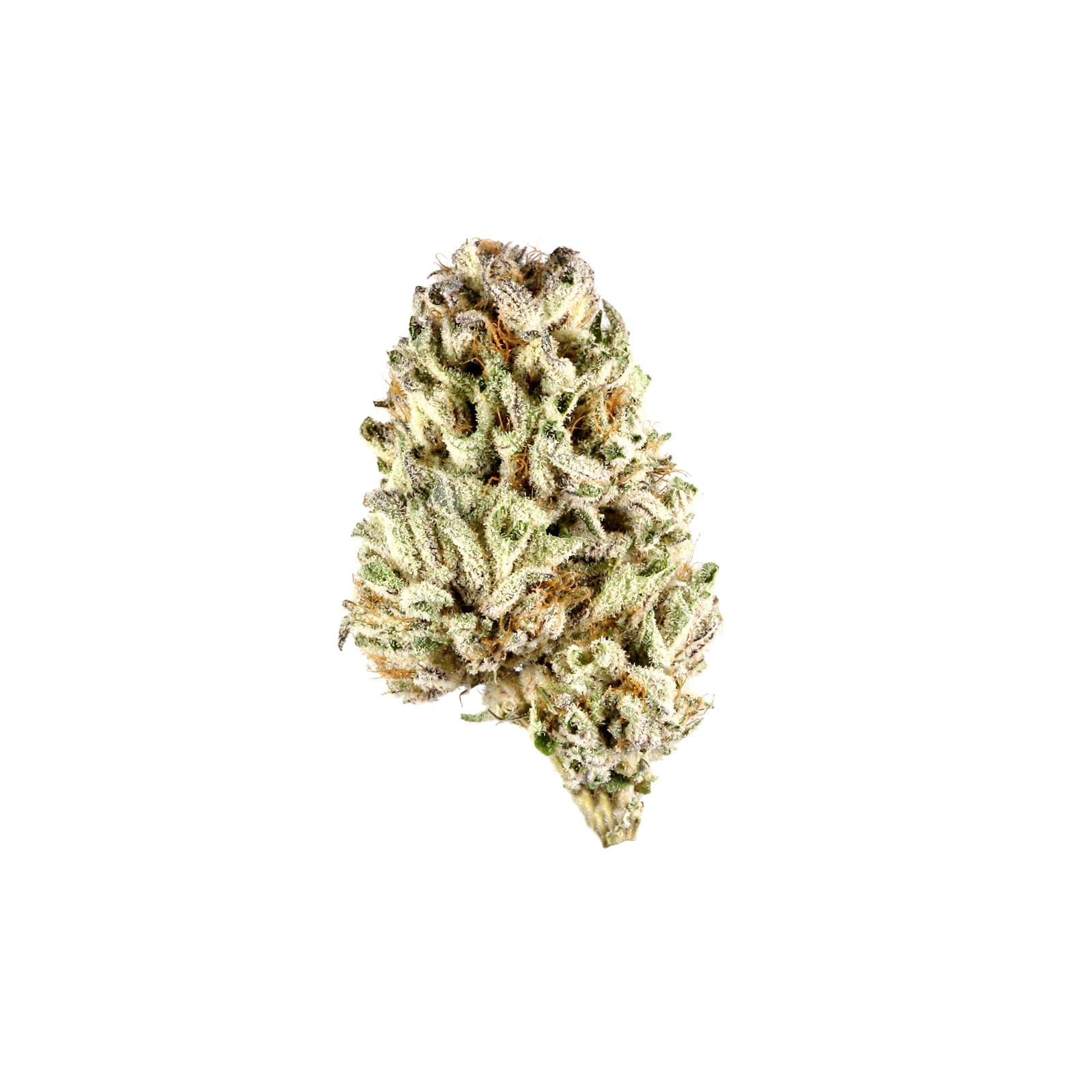 Cali Gas cannabis flower buds with rich trichome coverage showcasing premium THC-rich strain in close detail