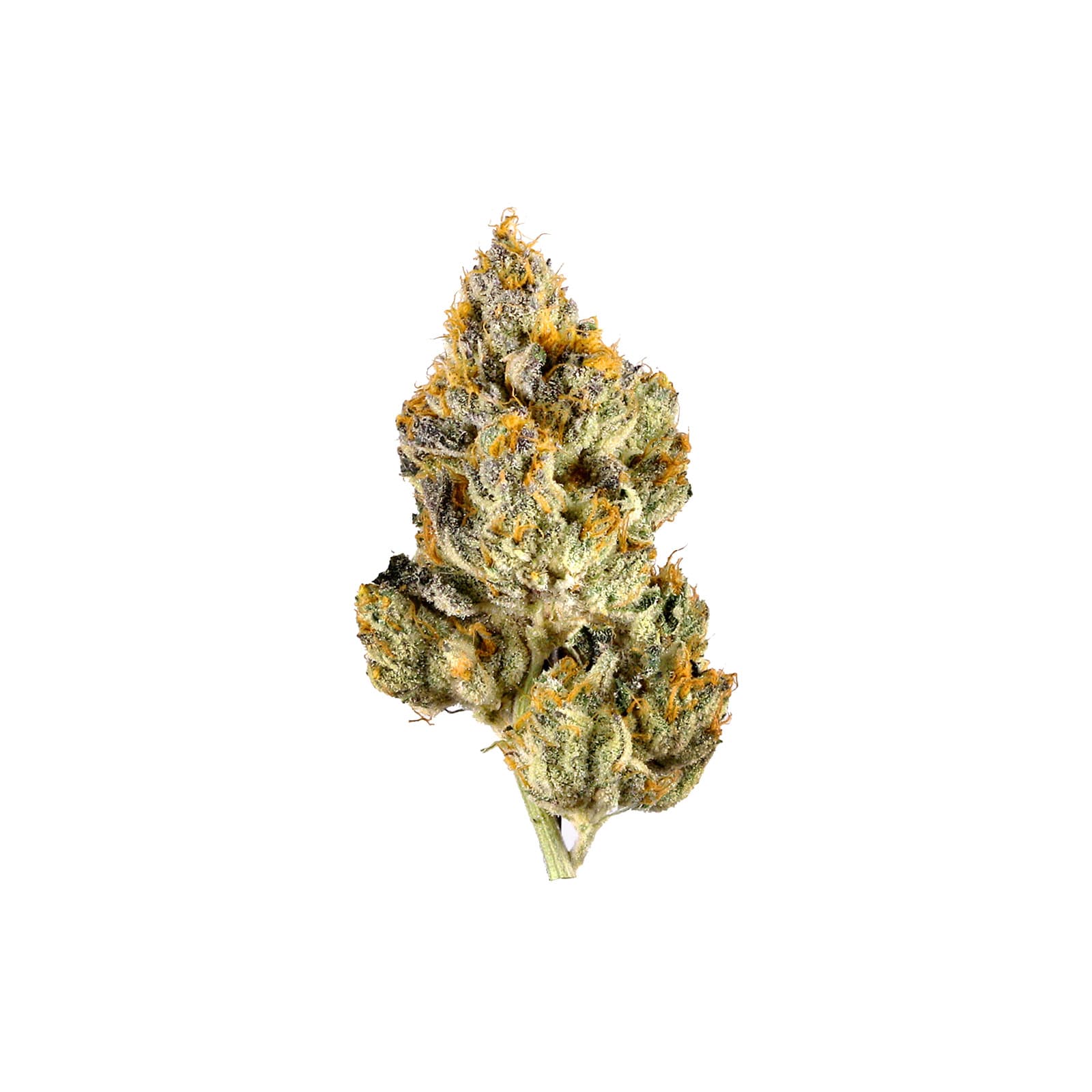 Close-up of Candy Rain cannabis flower buds with vibrant colorful trichome-covered petals in rich purple and green hues