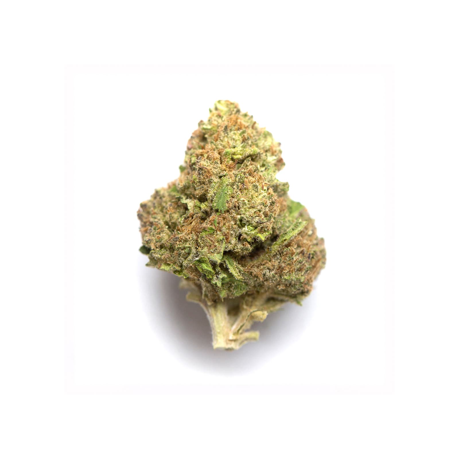 Dense green Cement Shoes cannabis flower buds with frosty trichomes and earthy tones