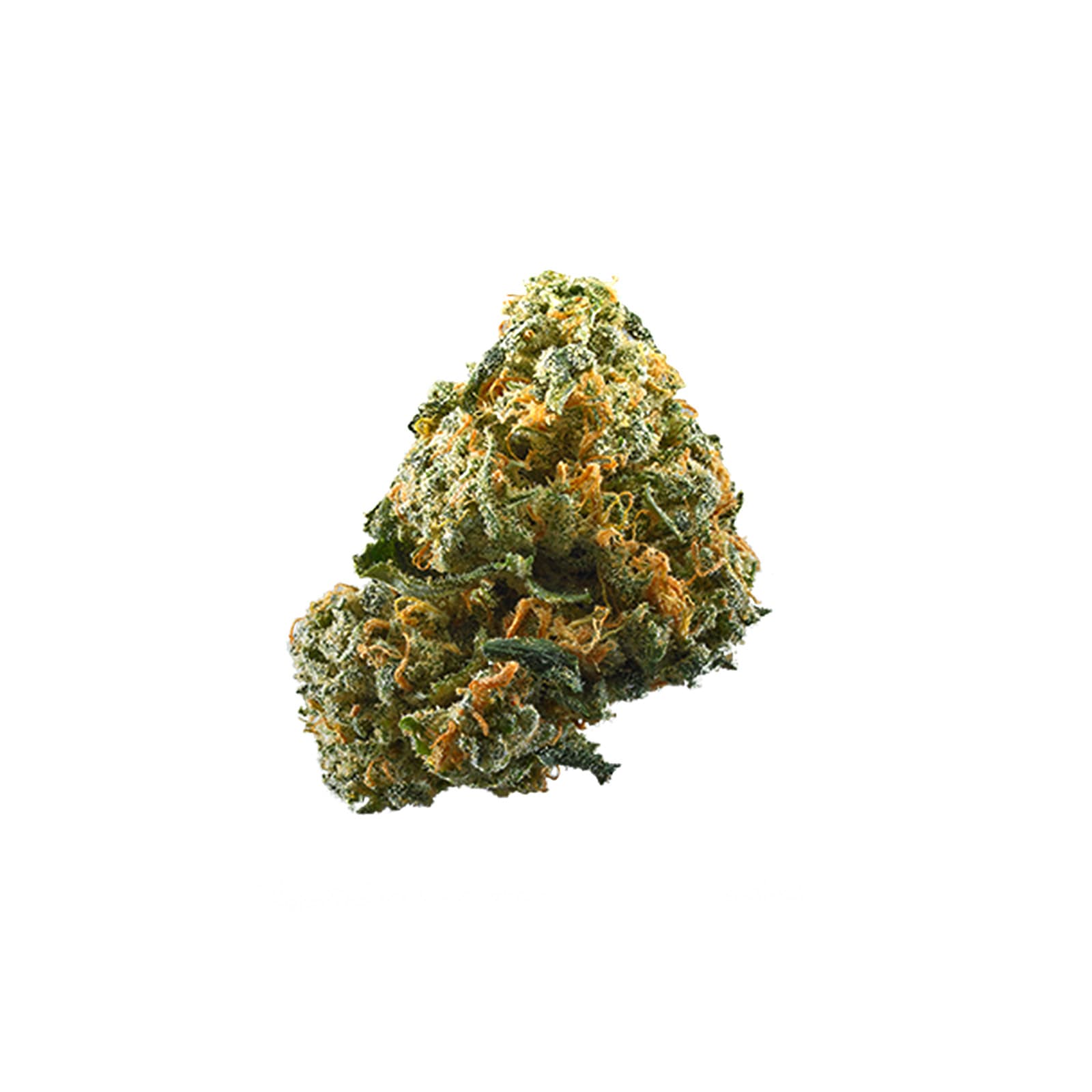 Hash Plant cannabis flower buds with dense resinous trichomes in rich green and earthy tones
