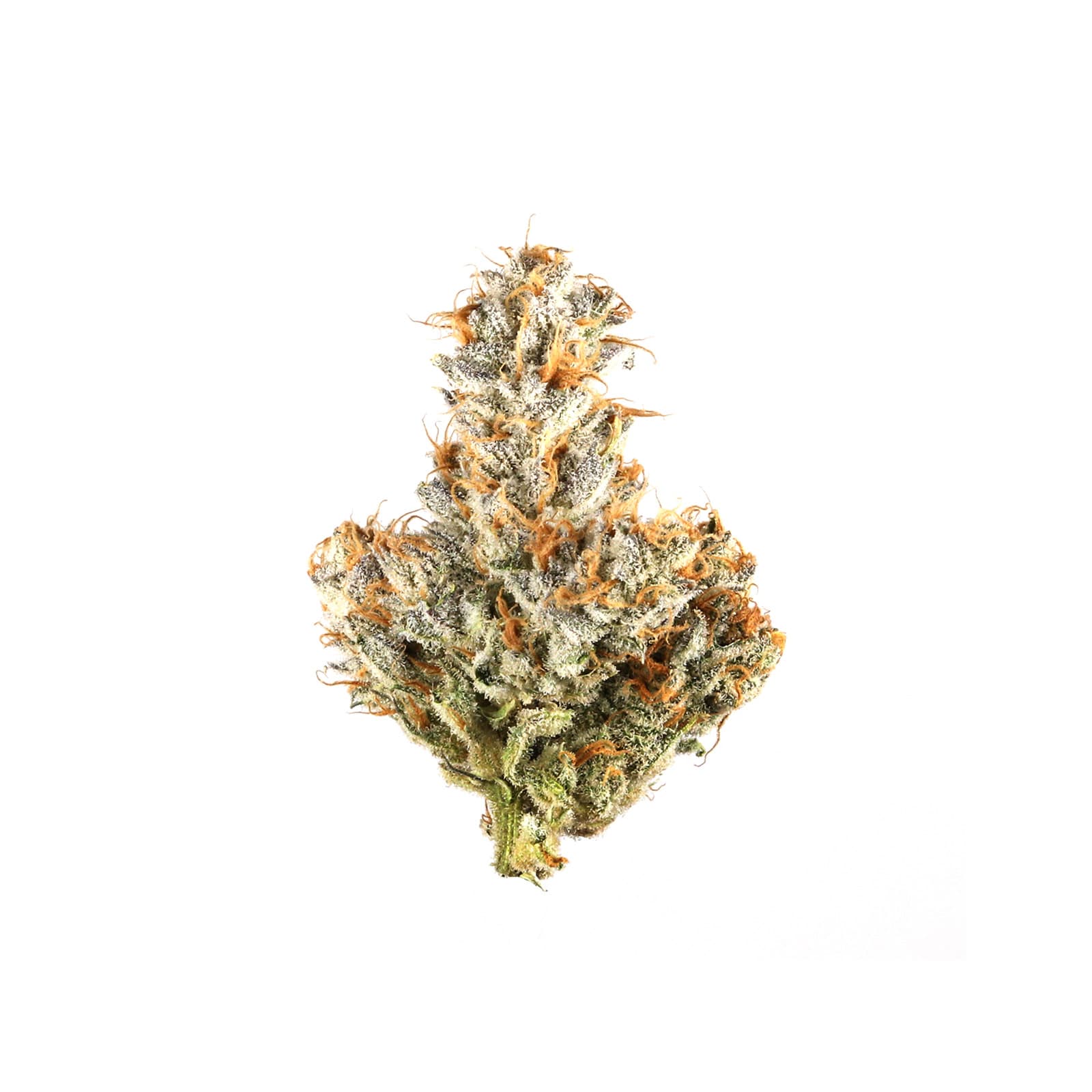 Inzane cannabis product daily ounce 302 strain type with 45 percent THC from brand 35