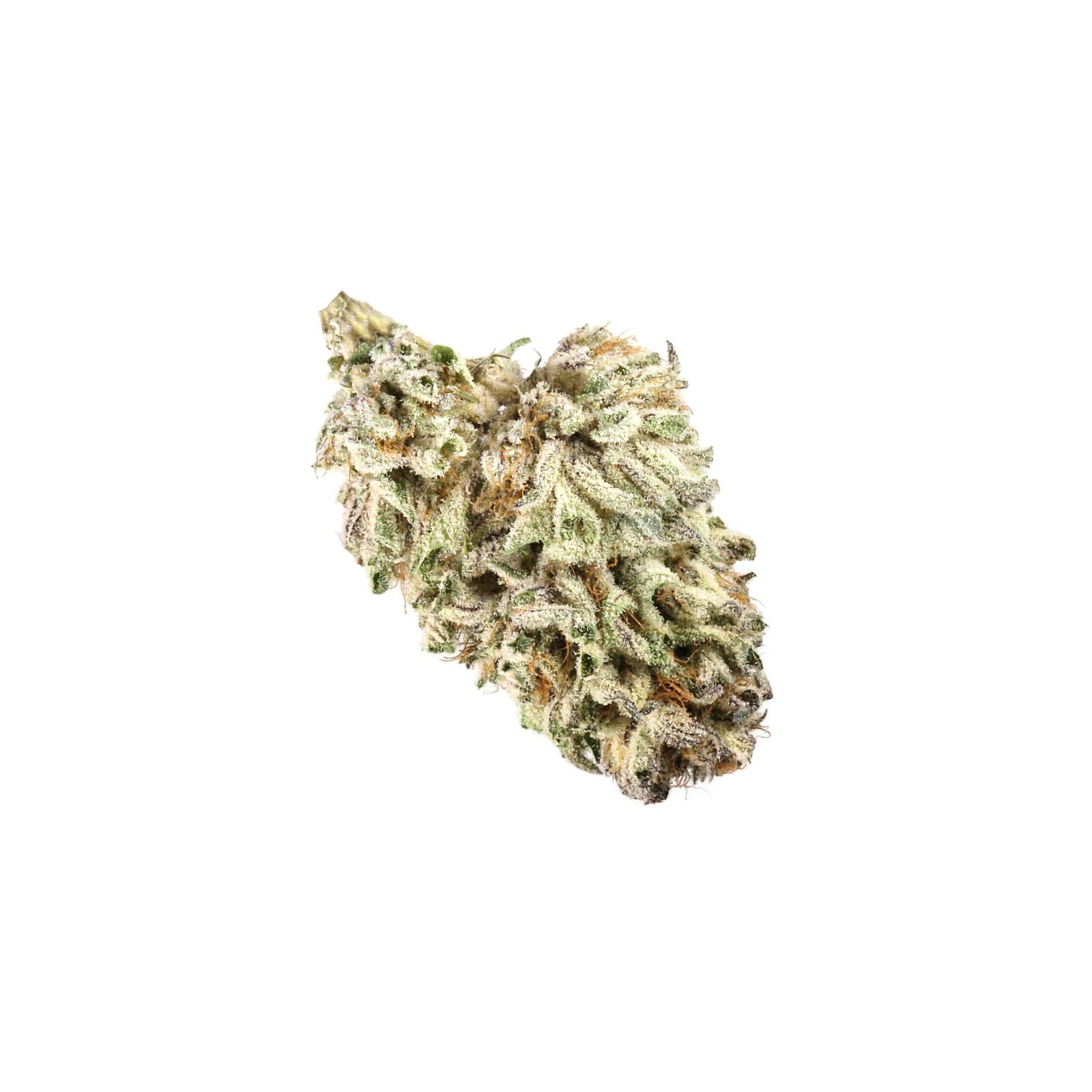 MAC 10 cannabis flower strain close-up showing dense trichome-covered buds with vibrant coloring and rich texture