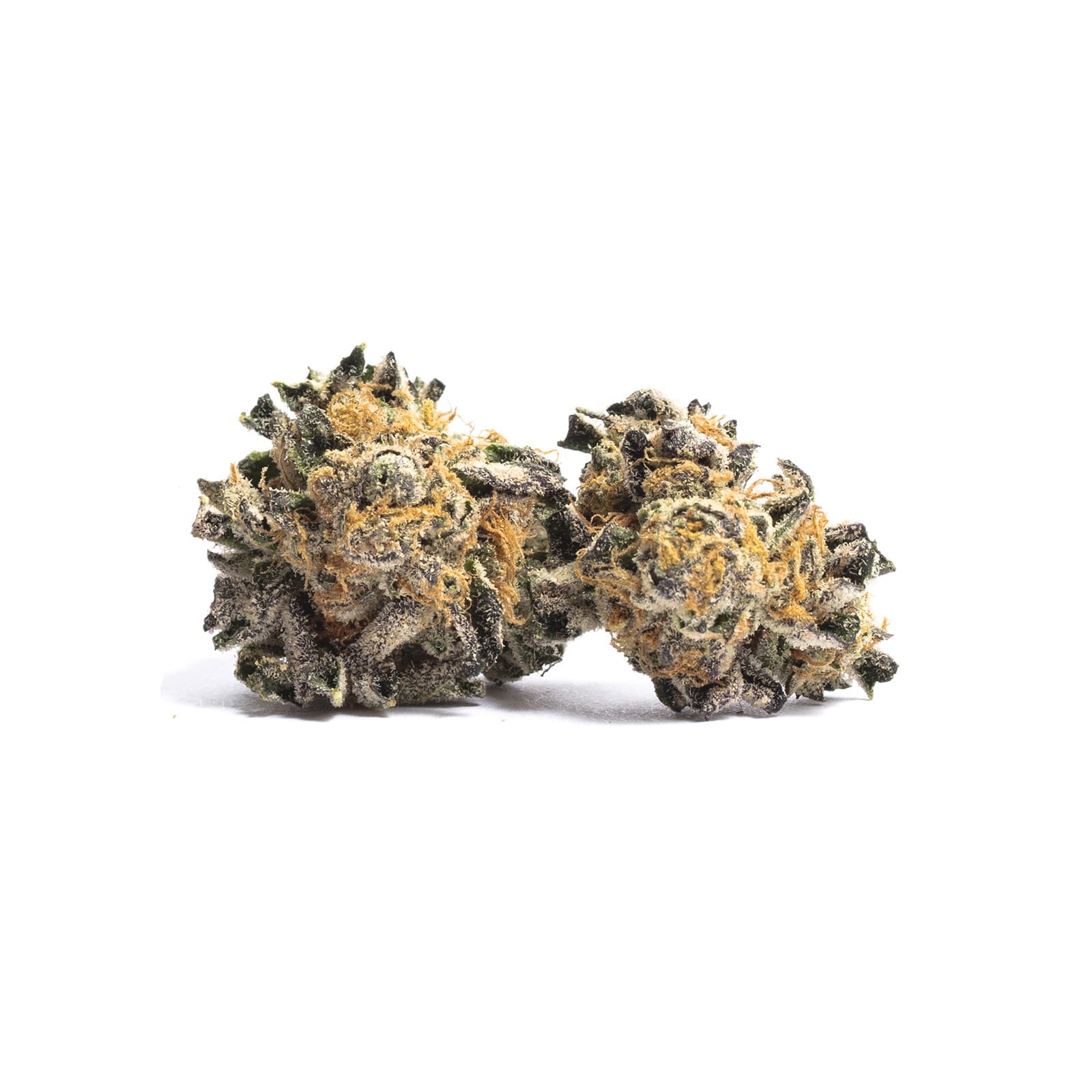 Close-up of Master Kush cannabis flower buds with dense trichome coverage, deep green coloring with earthy tones