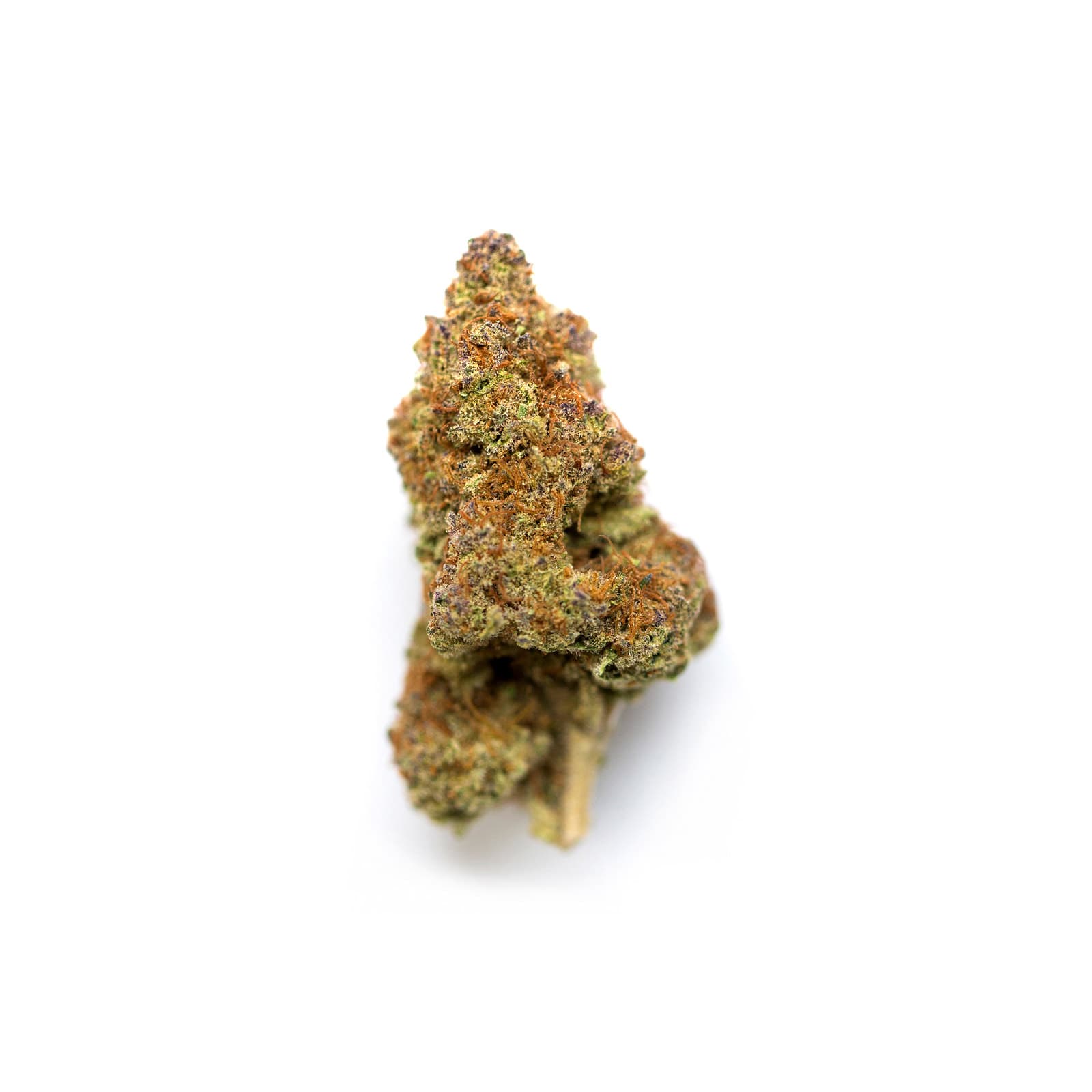Aurora Borealis cannabis flower with vibrant colorful trichome-covered buds suggesting northern lights hues of purple and