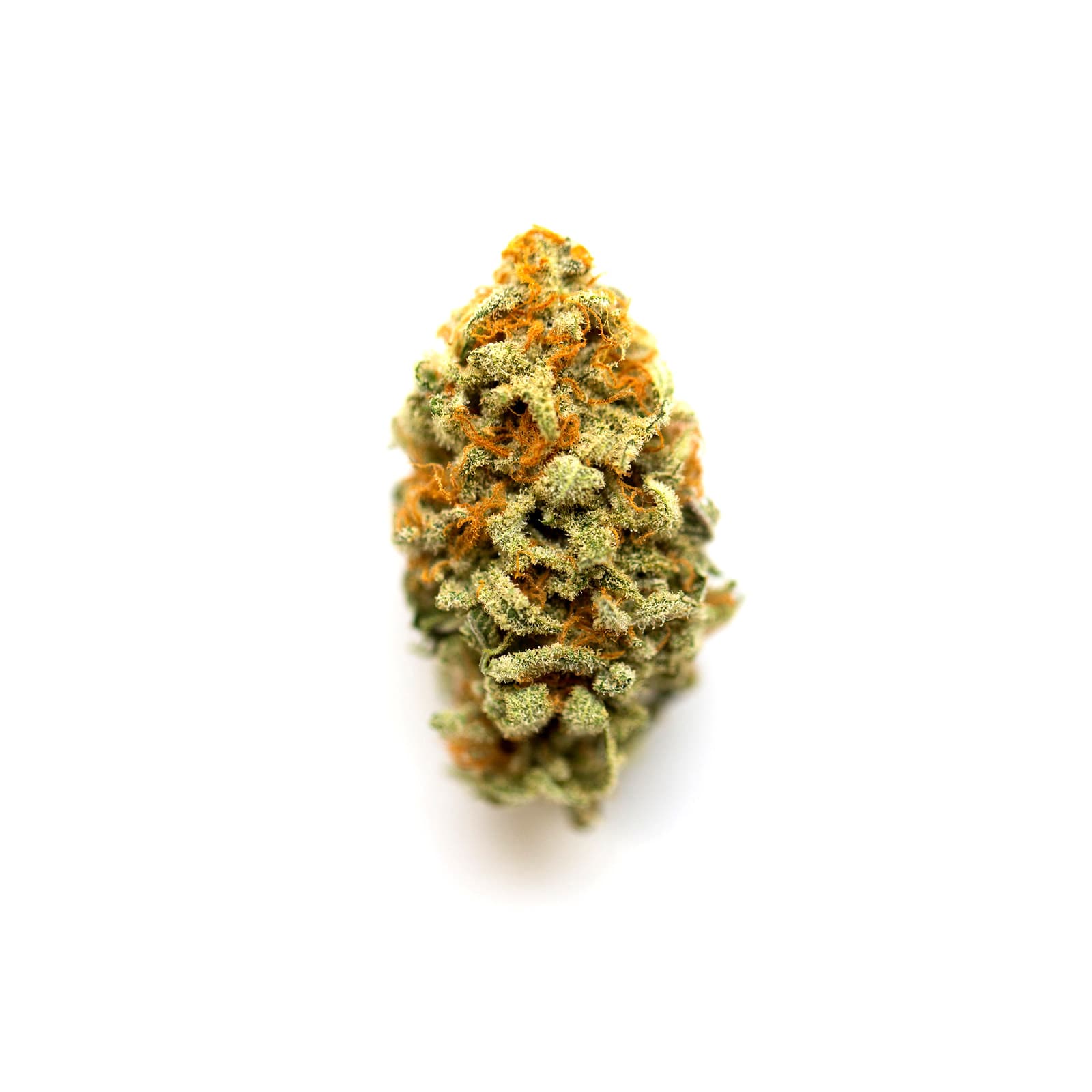 Strawberry Gary Payton cannabis flower close-up showing dense, colorful buds with vibrant red and green hues