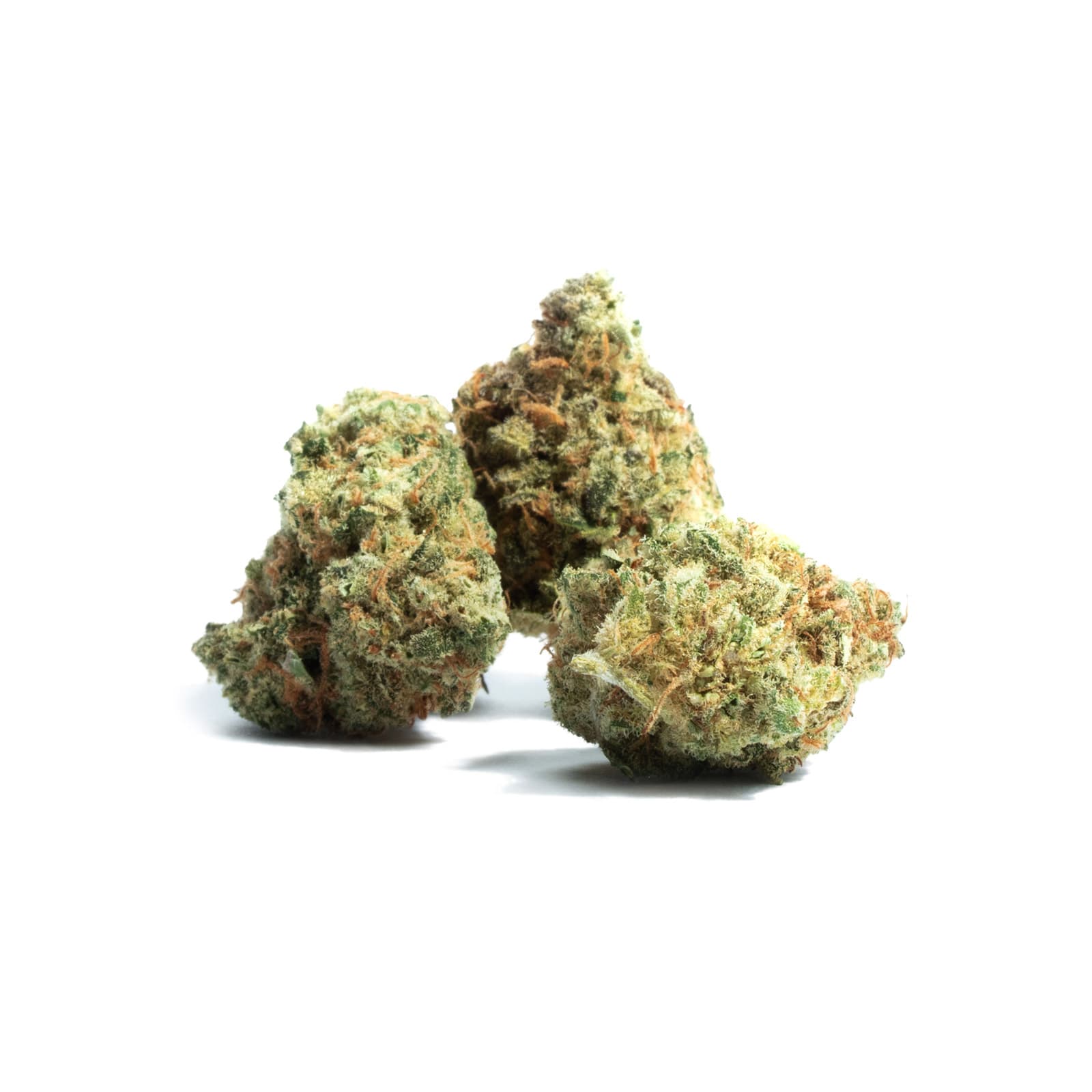 Close-up of Amnesia Haze cannabis flower, a sativa strain with frosty trichomes and dense green buds