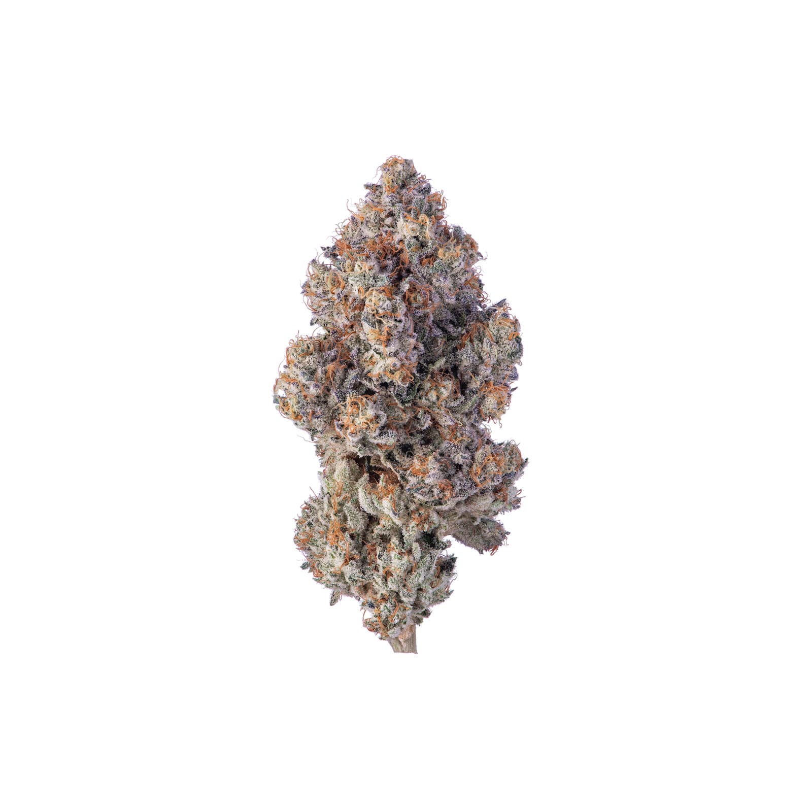 Khalifa Mints cannabis flower buds with rich green and purple tones, dense trichome coverage, aromatic mint strain