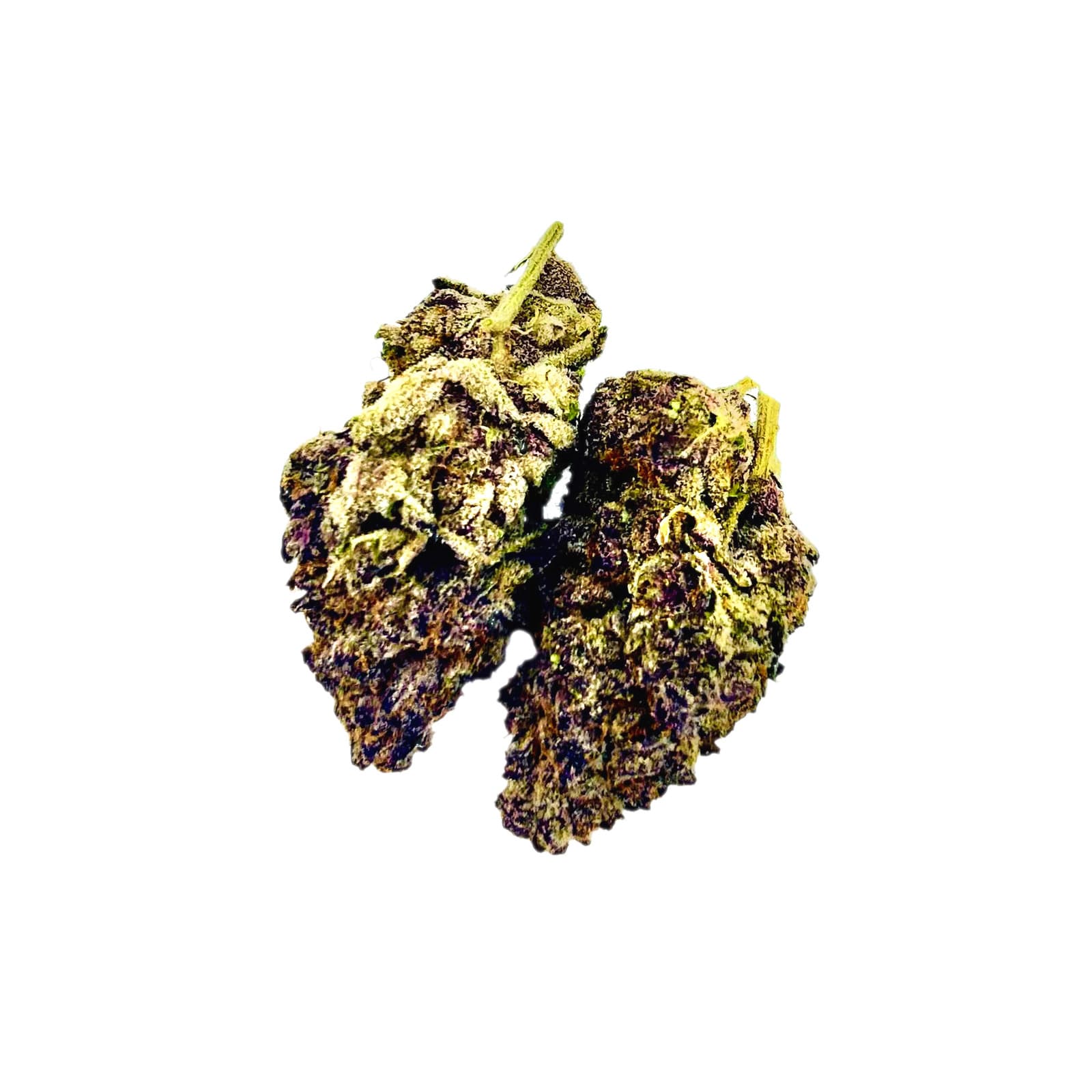 Blueberry Muffin cannabis strain close-up showing dense frosty buds with purple hues and orange pistils