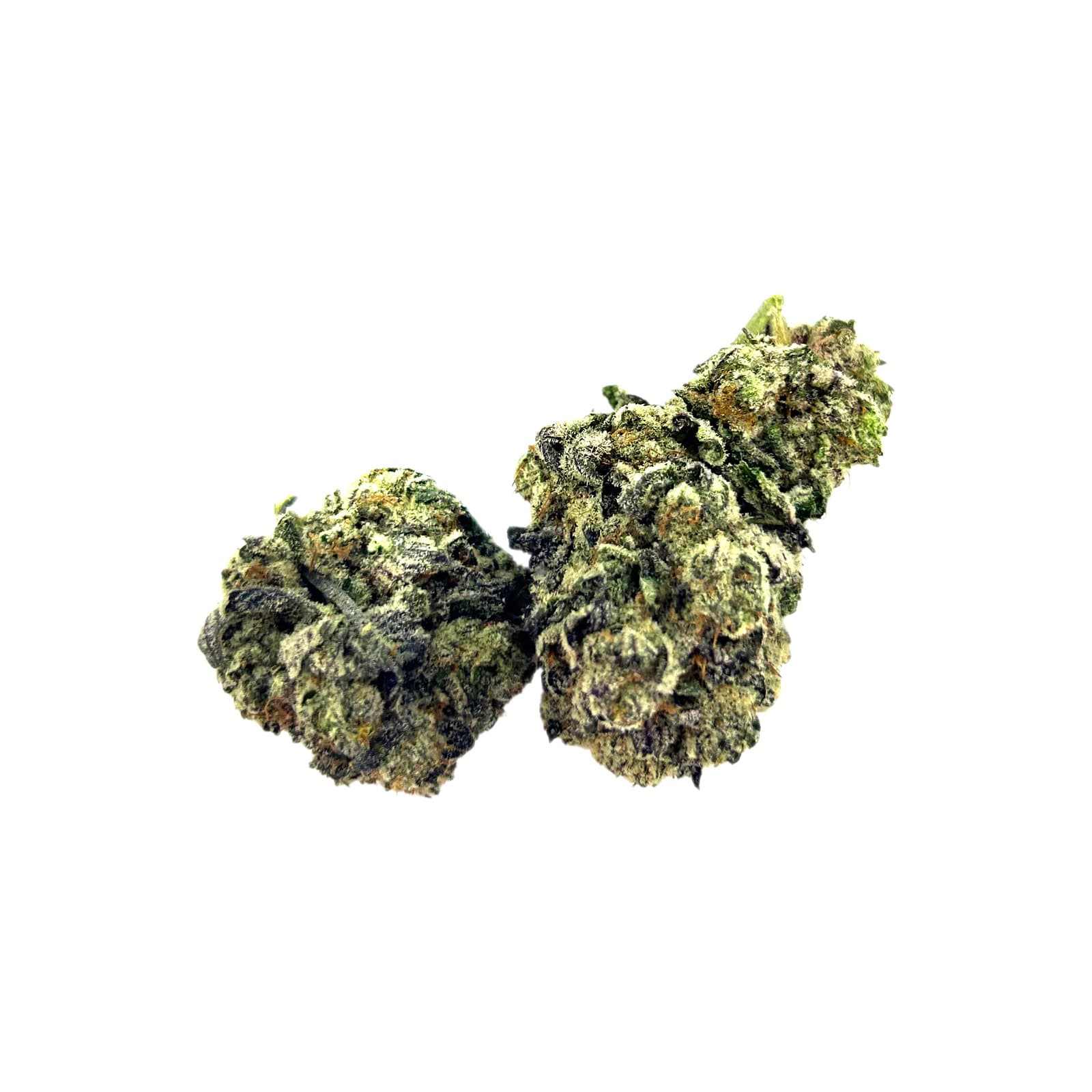 Glazed blueberry muffin cannabis bud, dense and resinous with a frosty THC-rich coating
