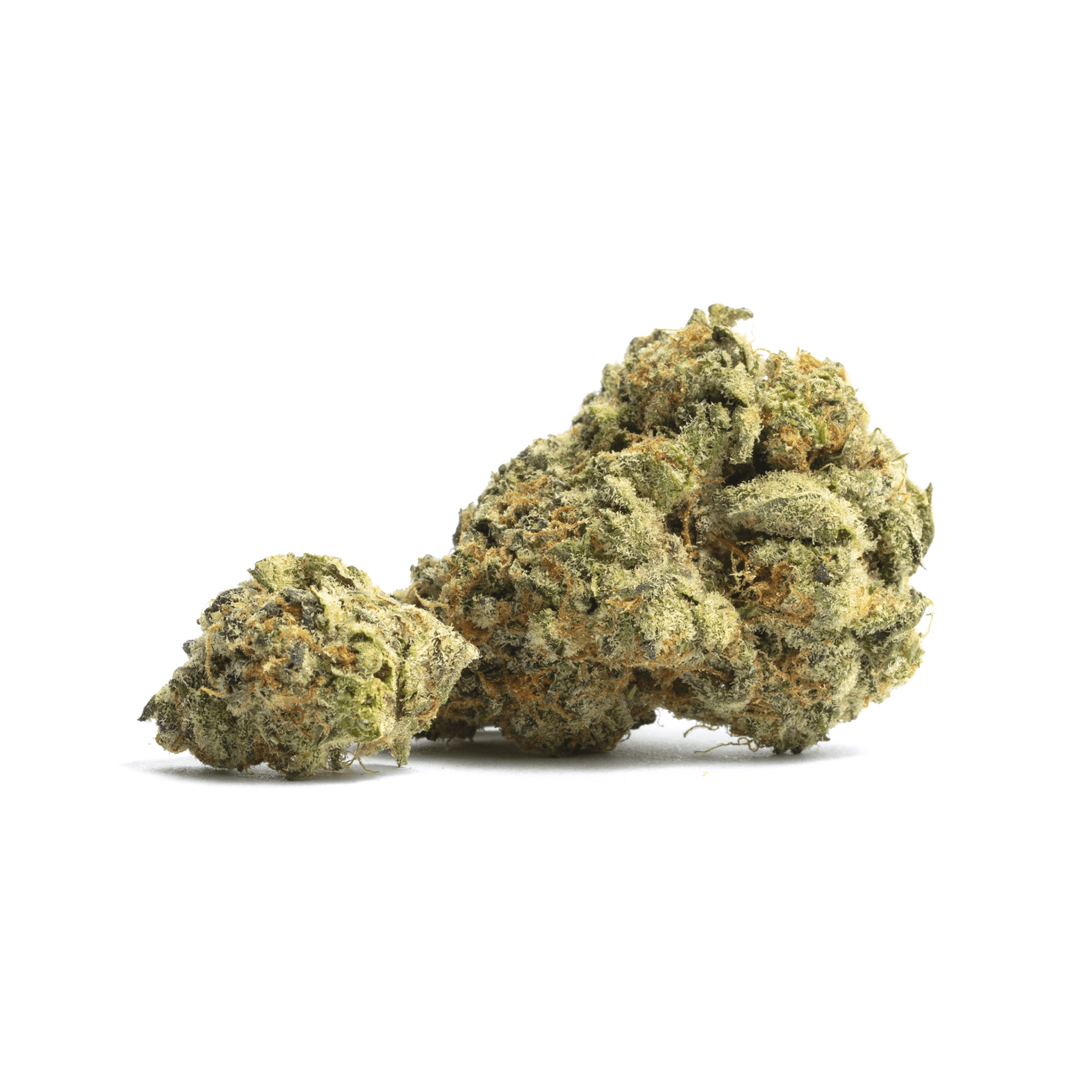 Super Cat Piss cannabis flower, dense green buds with visible trichomes, pungent sativa strain