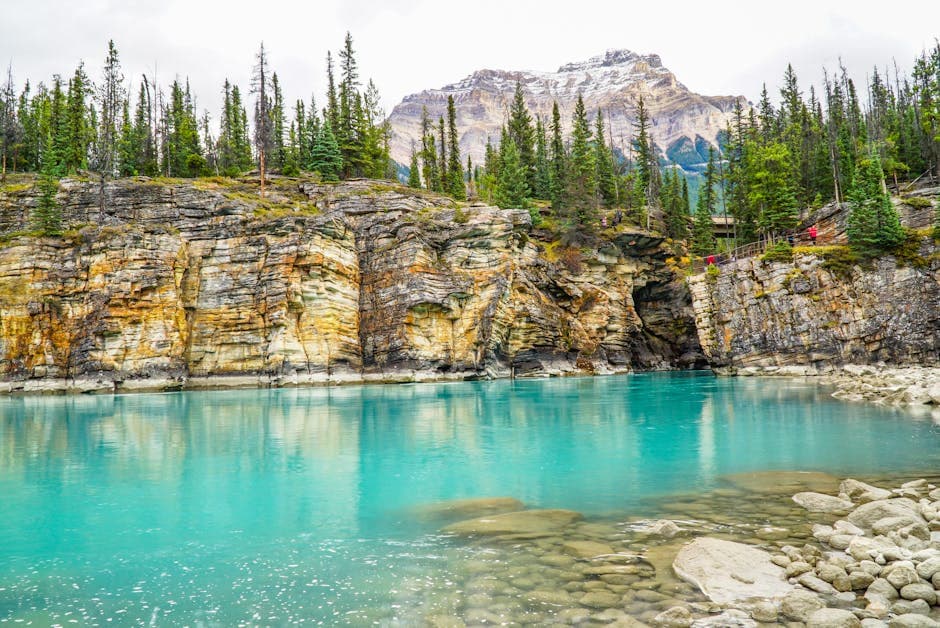 Alberta weed plant growing in a calm natural landscape within an Alberta provincial park