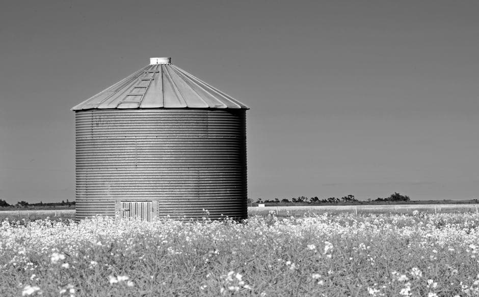 Manitoba weed wildflowers growing in a rural Canadian prairie field with a grain silo in the background