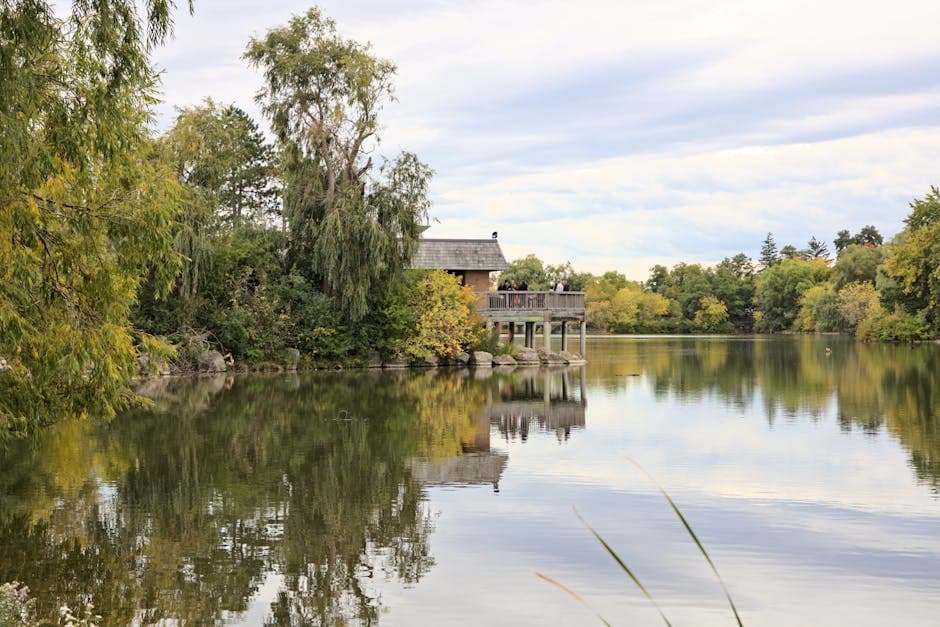 Markham weed growing near a tranquil lake with lush greenery and reflections in Markham Ontario