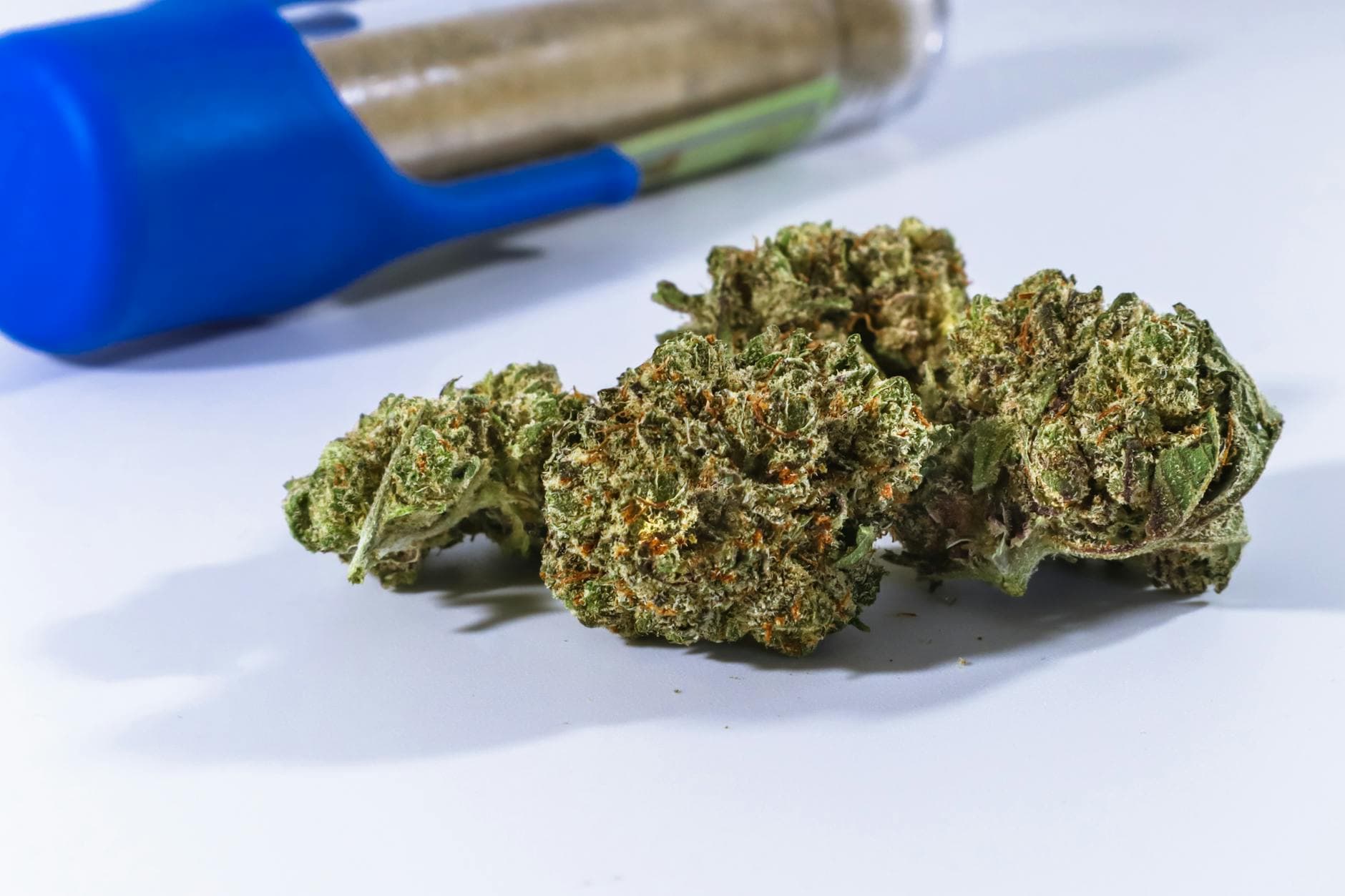 7 Best Indica Strains for Deep Sleep in Canada (2026)