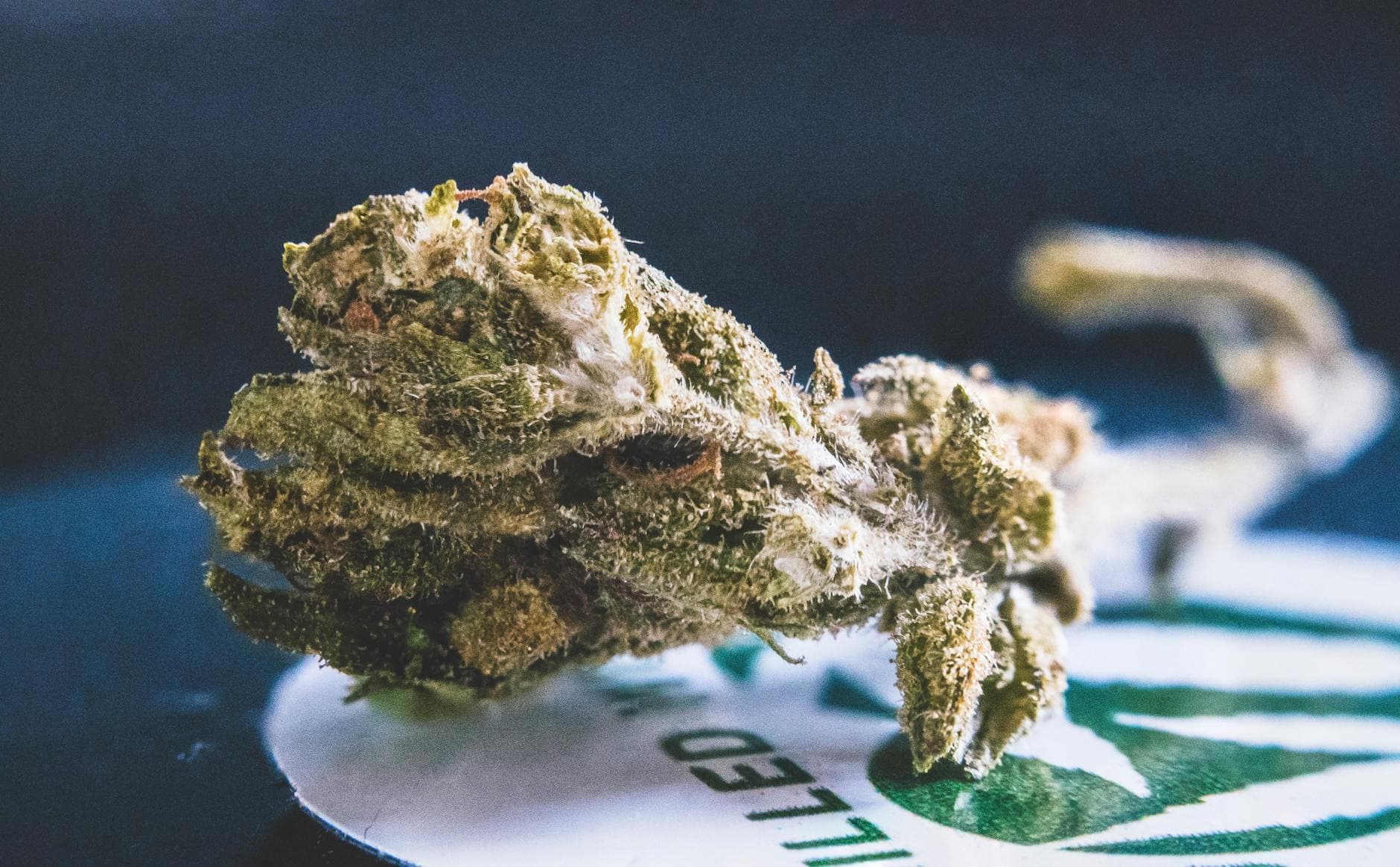 Best Hash You Can Buy Online in Canada (2026 Guide)