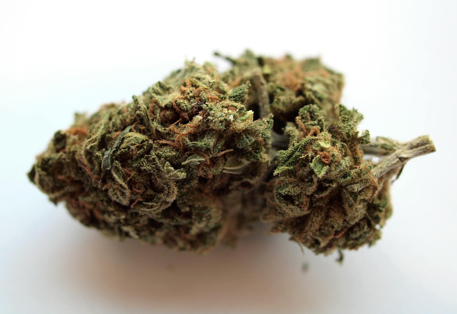 How Long Does Canada Post Take to Deliver Cannabis?