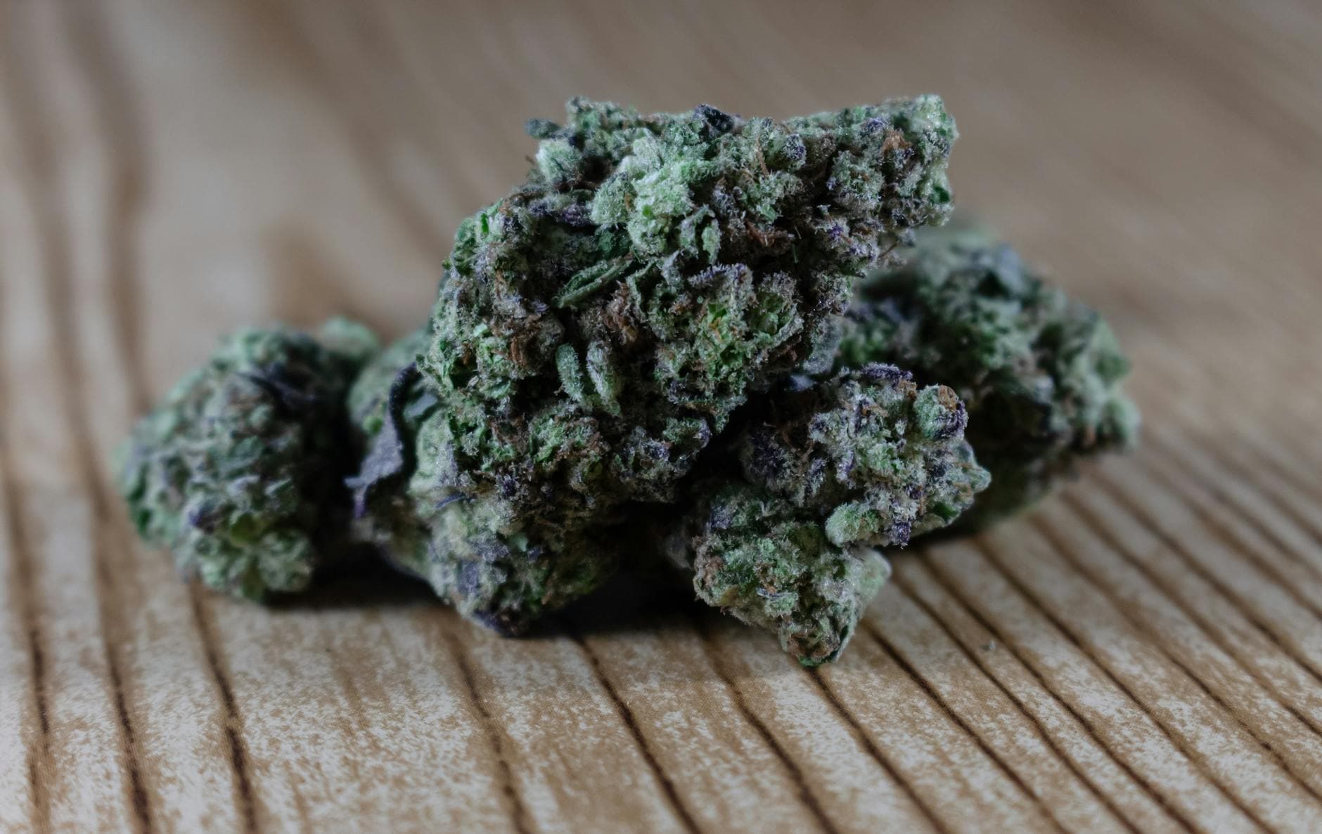 Purple Kush vs Granddaddy Purple: Side-by-Side Comparison