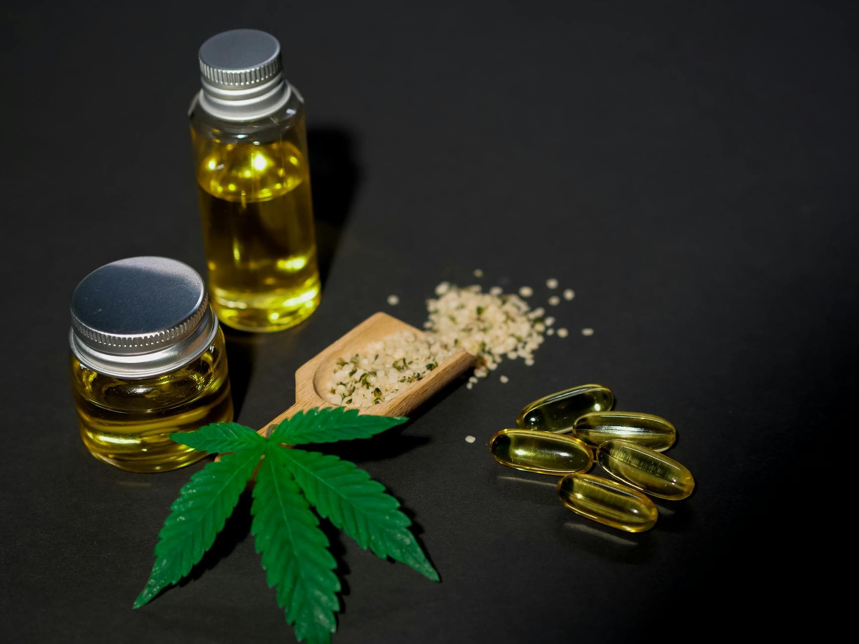 The Endocannabinoid System Explained in Plain English