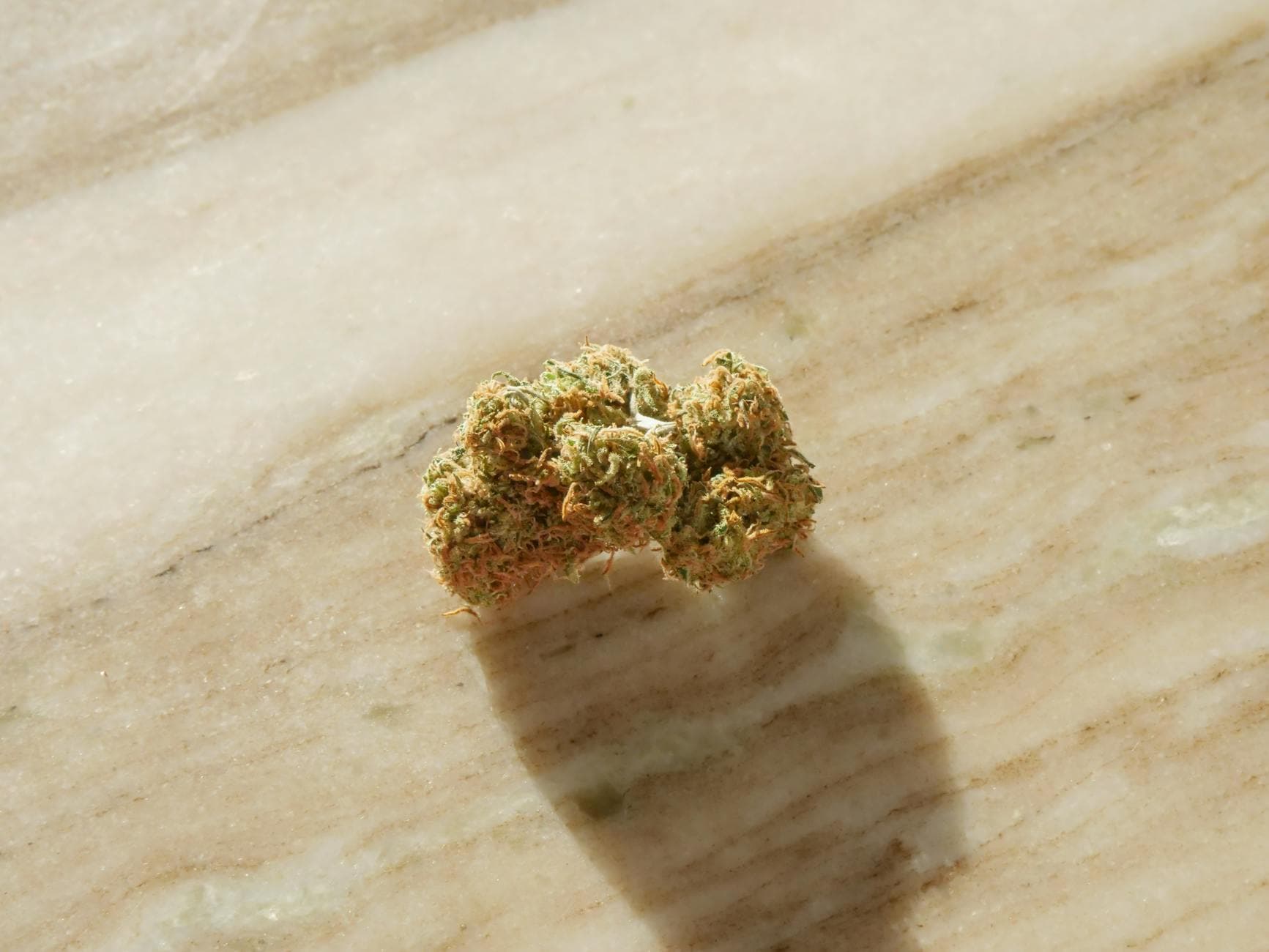 Pink Kush Strain: Effects Benefits and What to Expect