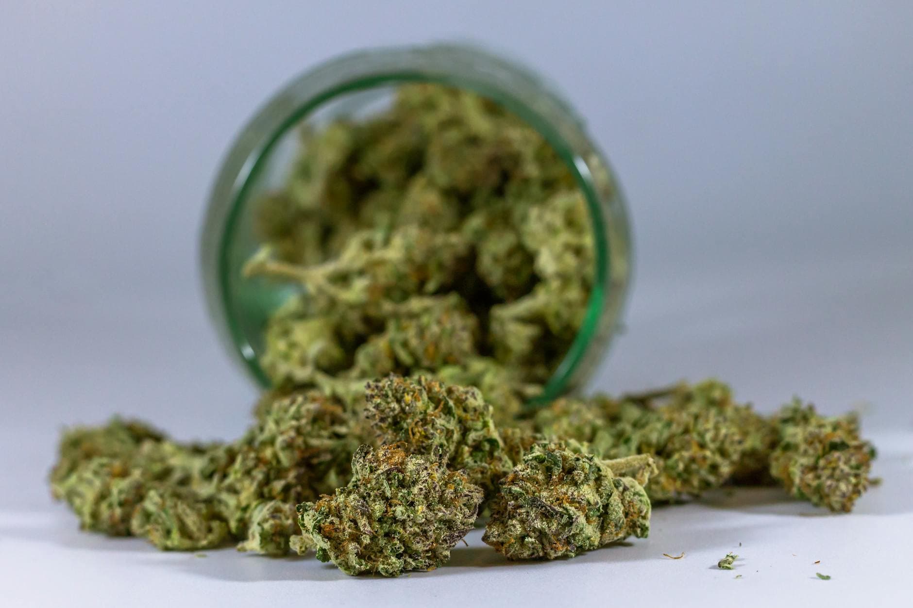 Best Weed Gifts Under $50 for the Holidays