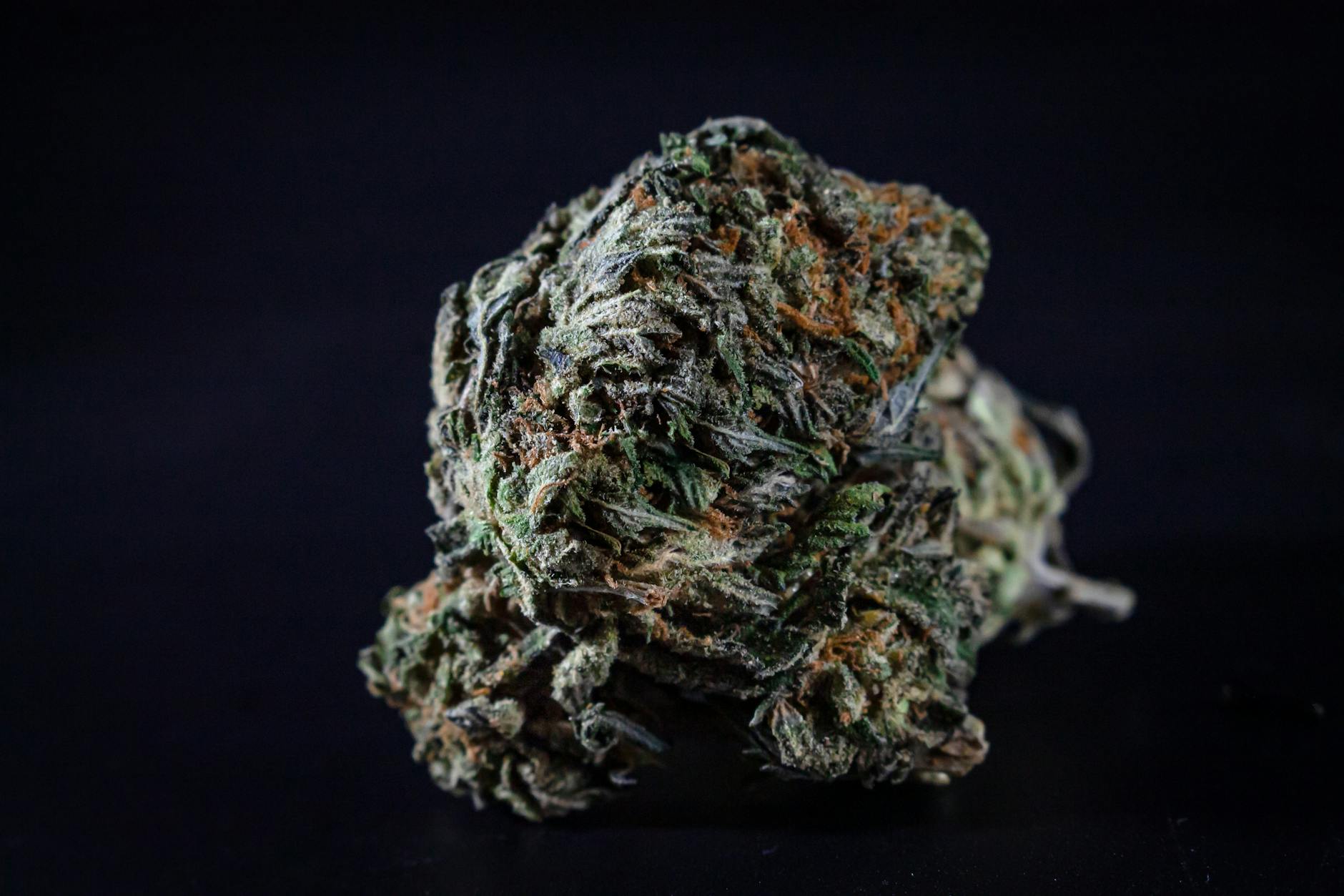 Strongest Sativa Strains in Canada: Our 2026 Picks