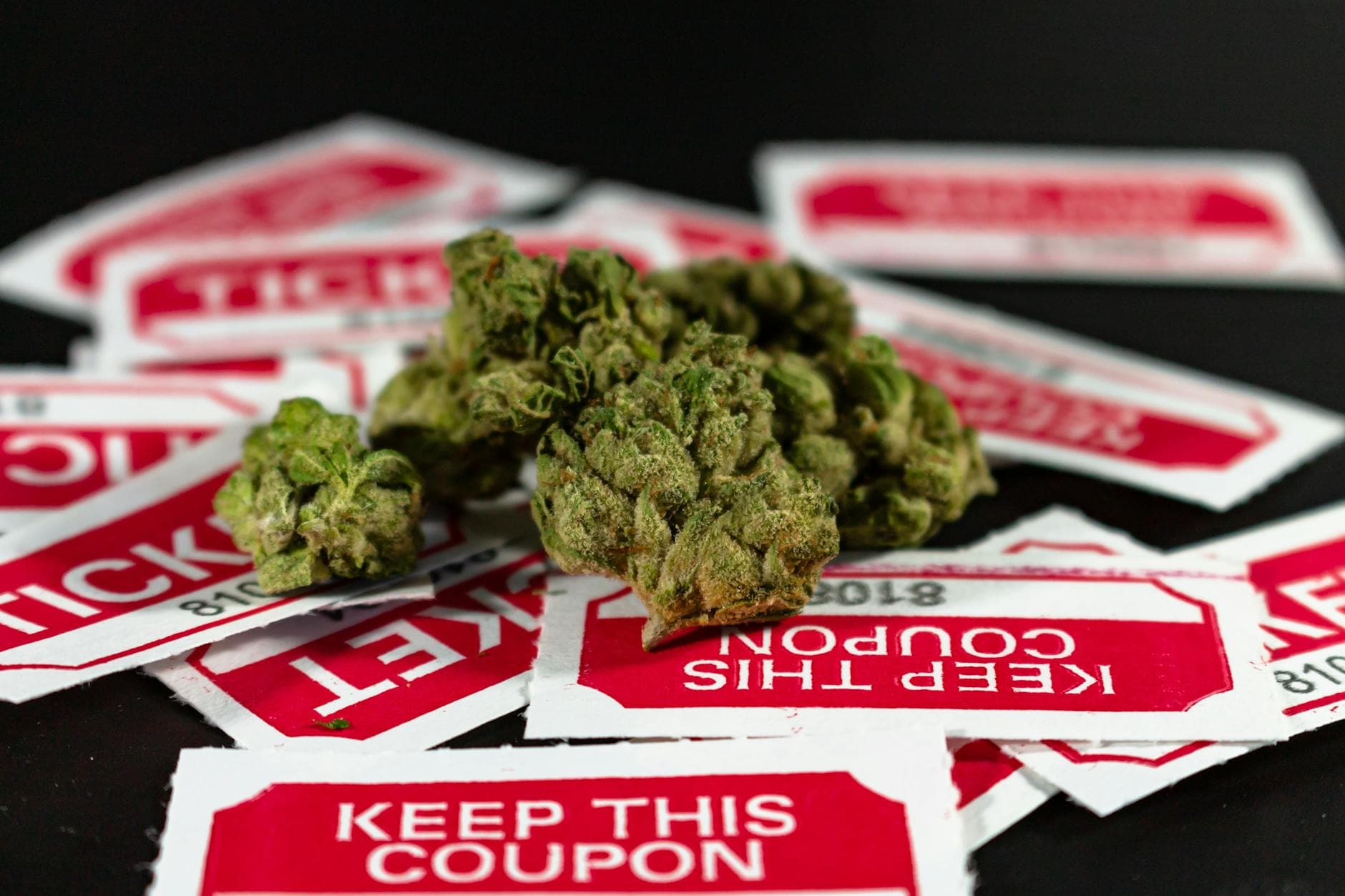 Ontario Cannabis Laws in 2026: What You Can and Can't Do