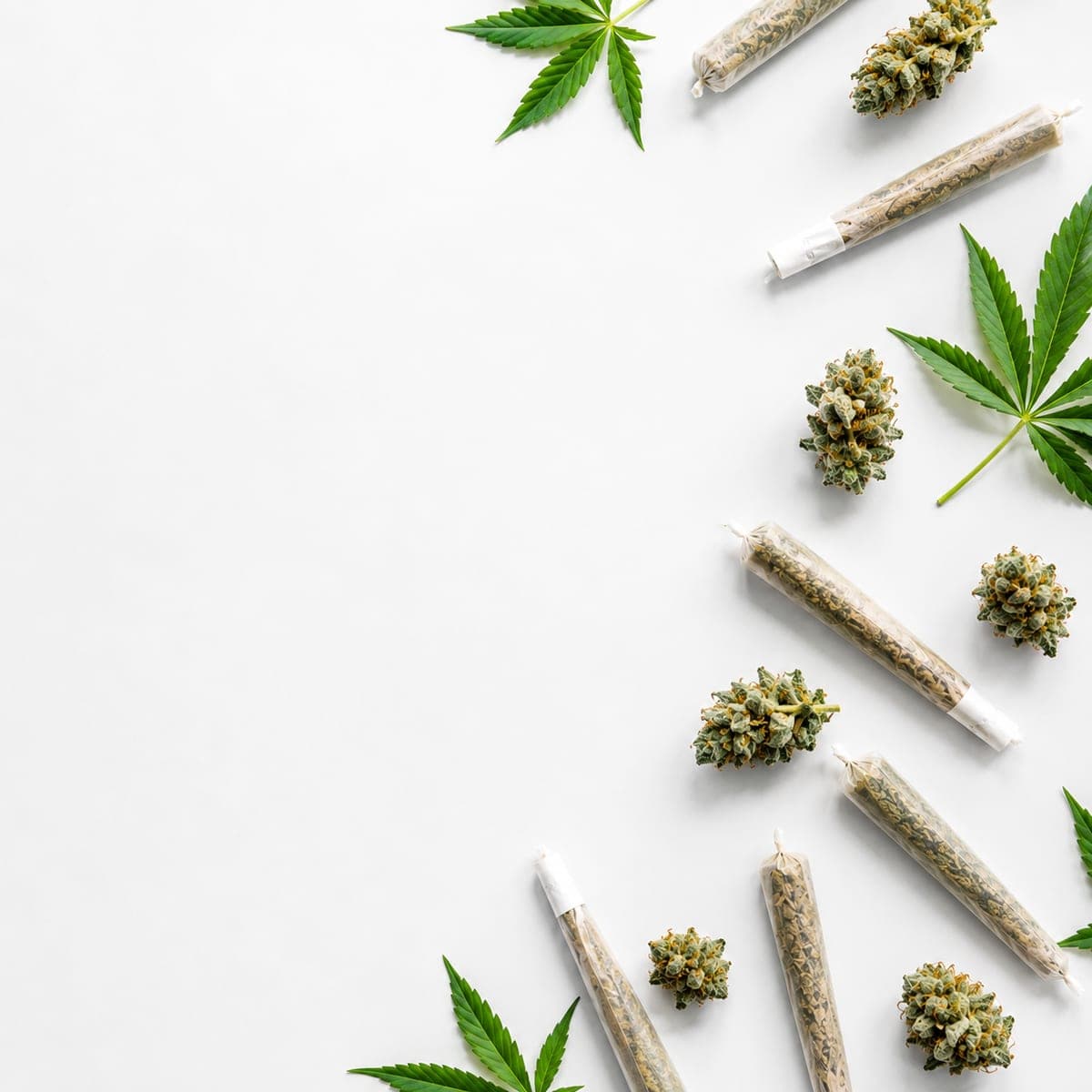100 Joints. $100.