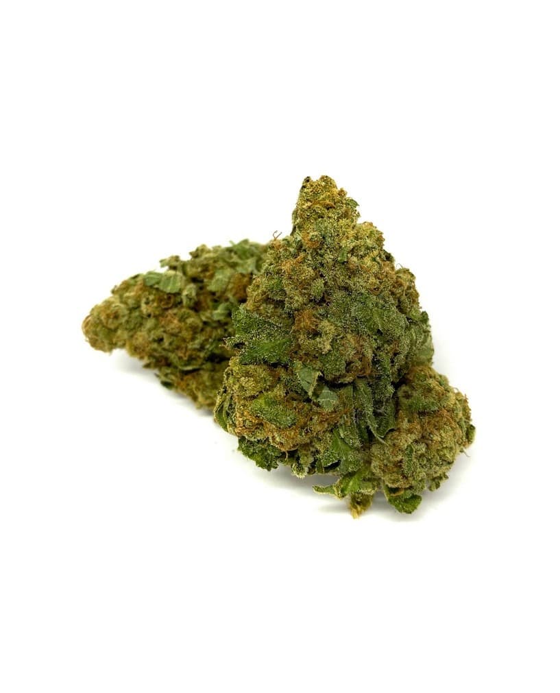 Blue Dream recreational cannabis flower, dense gelato diesel strain buds with vibrant trichome-rich texture