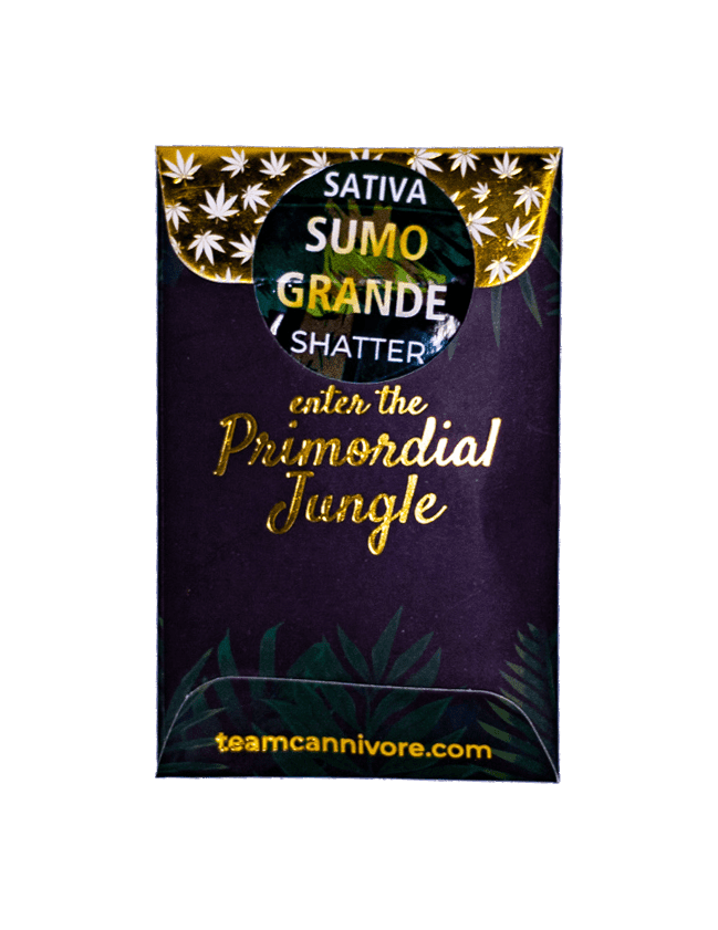 9LB Hammer shatter concentrate grande size amber glass-like cannabis extract slab