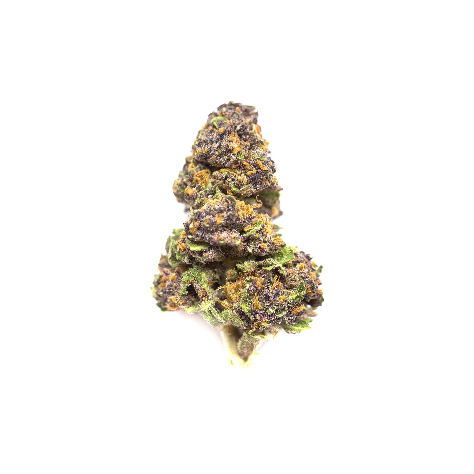 Agent Orange cannabis bud close-up showing bright orange pistils and dense green flower with frosty trichome coverage
