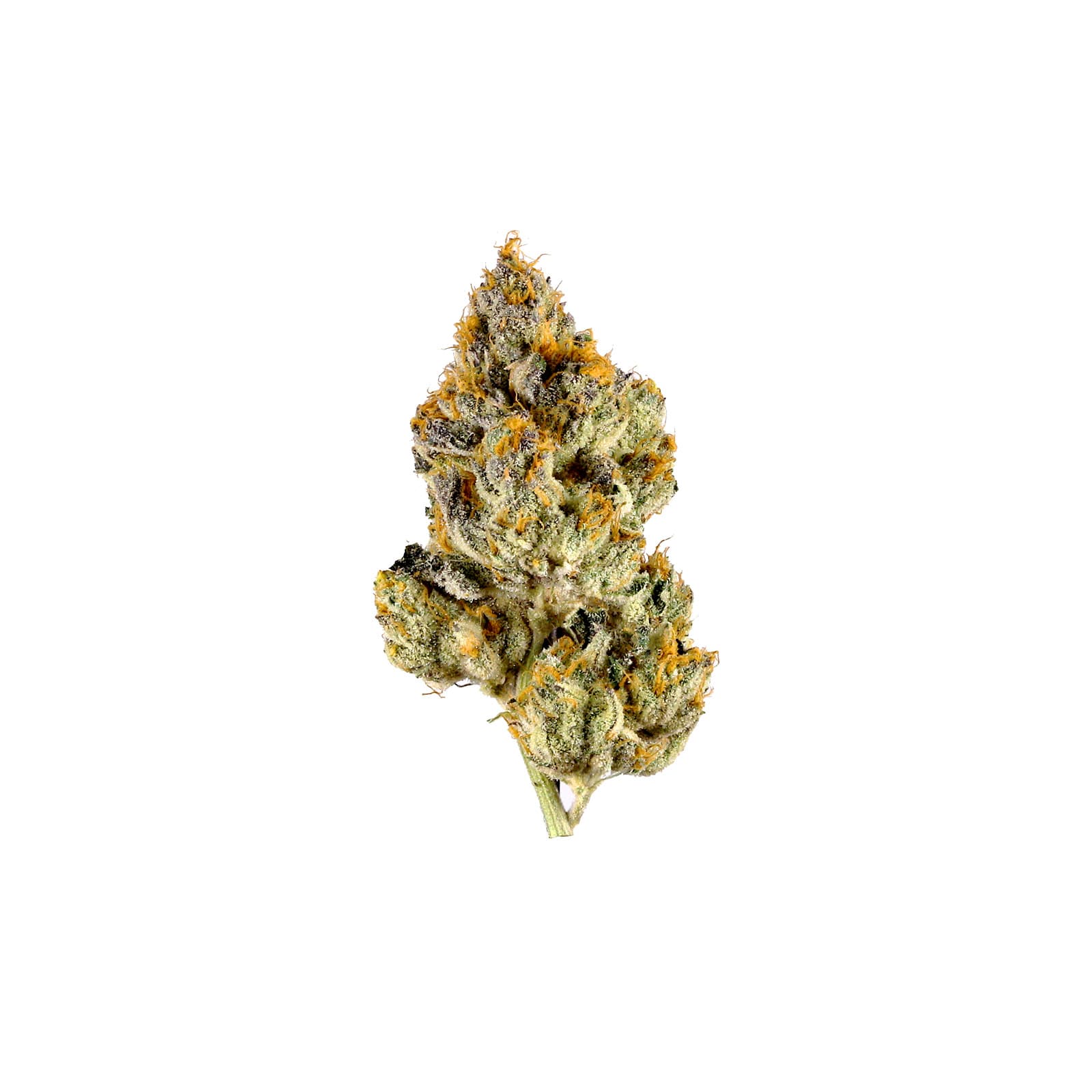 Blackberry Oreo cannabis daily ounce product 91g with 45 percent THC from company 35 strain type 476