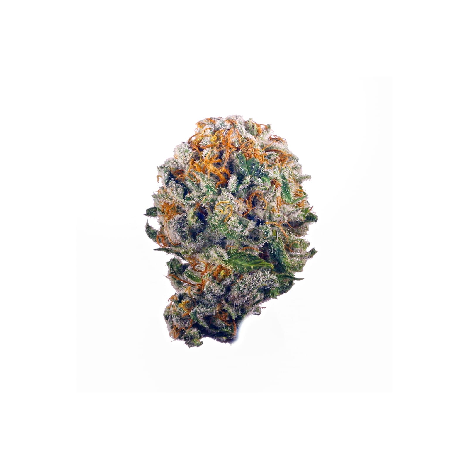Strawberry Shortcake cannabis strain flower buds with vibrant red and green tones rich trichome coverage