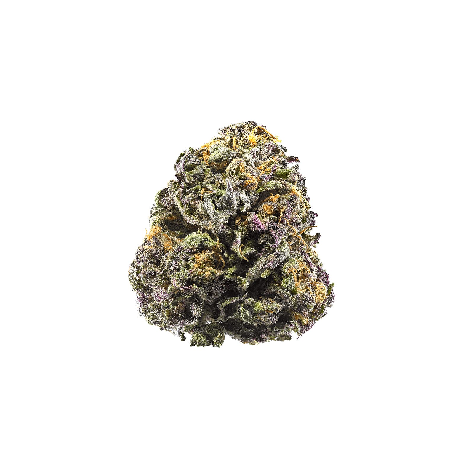Grand Daddy Purple cannabis flower buds with deep purple hues and dense trichome coverage