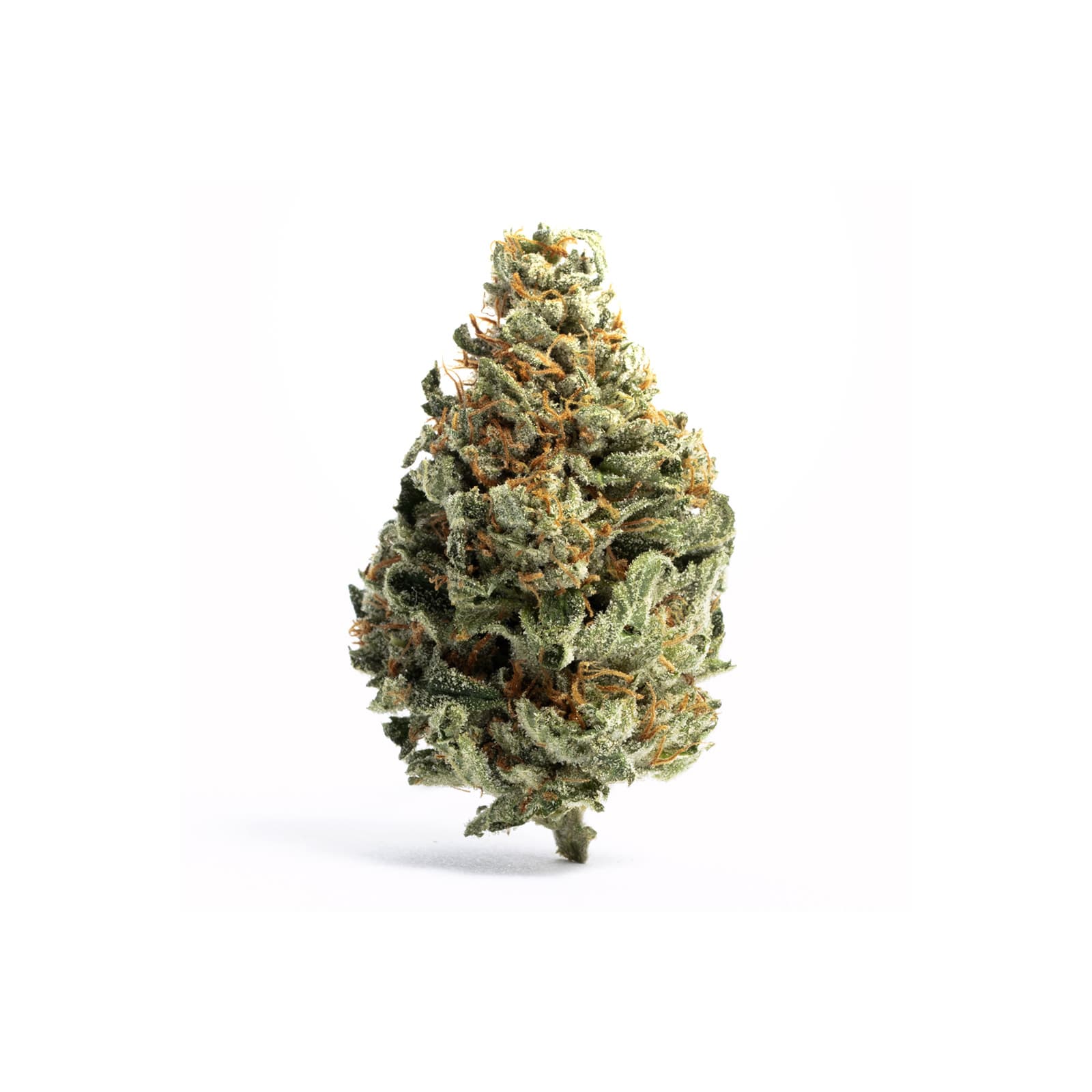 Snow White daily ounce cannabis flower product, white and frosty trichome-covered buds with pale crystalline coating